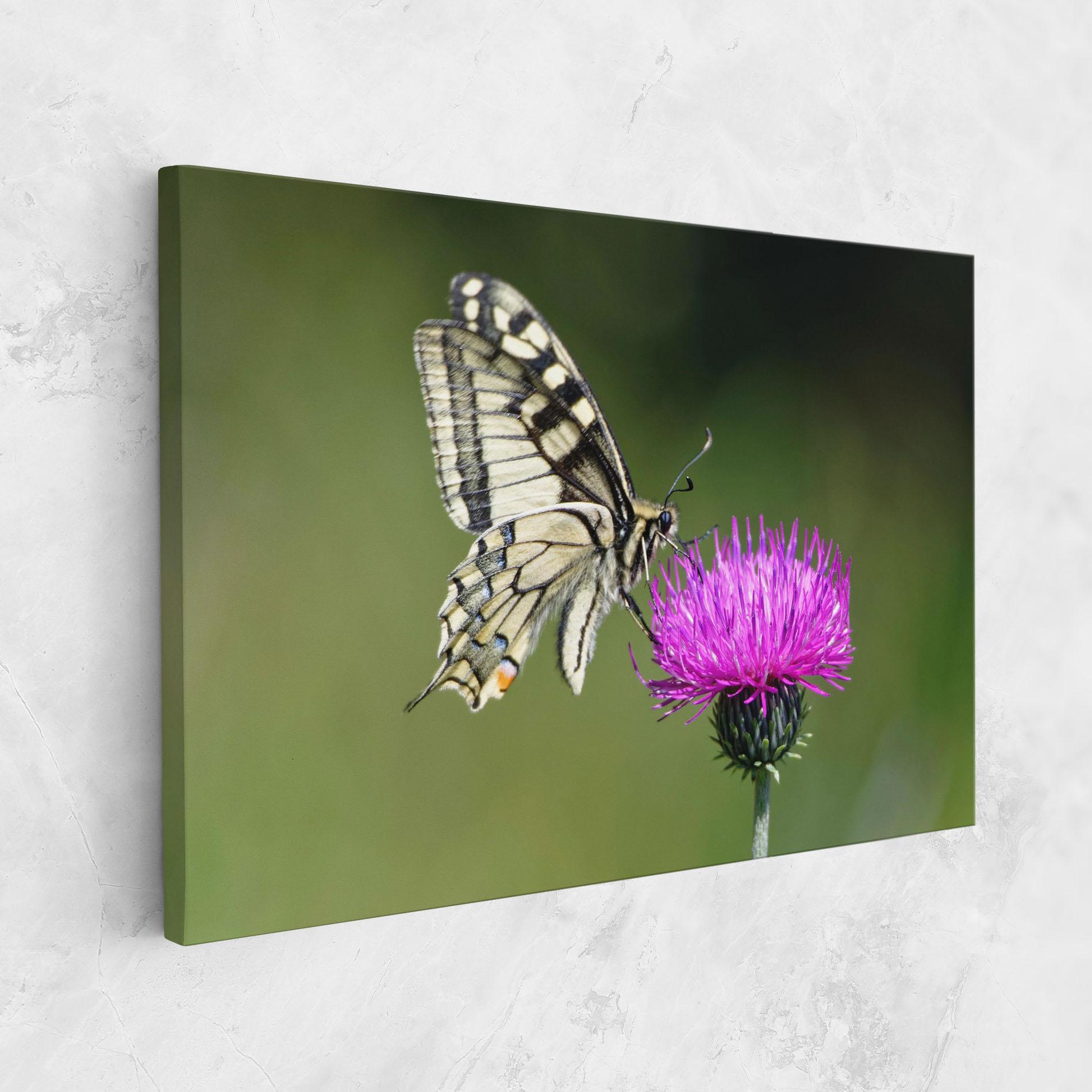 Tablou Canvas White Butterfly Pollen mockup 1