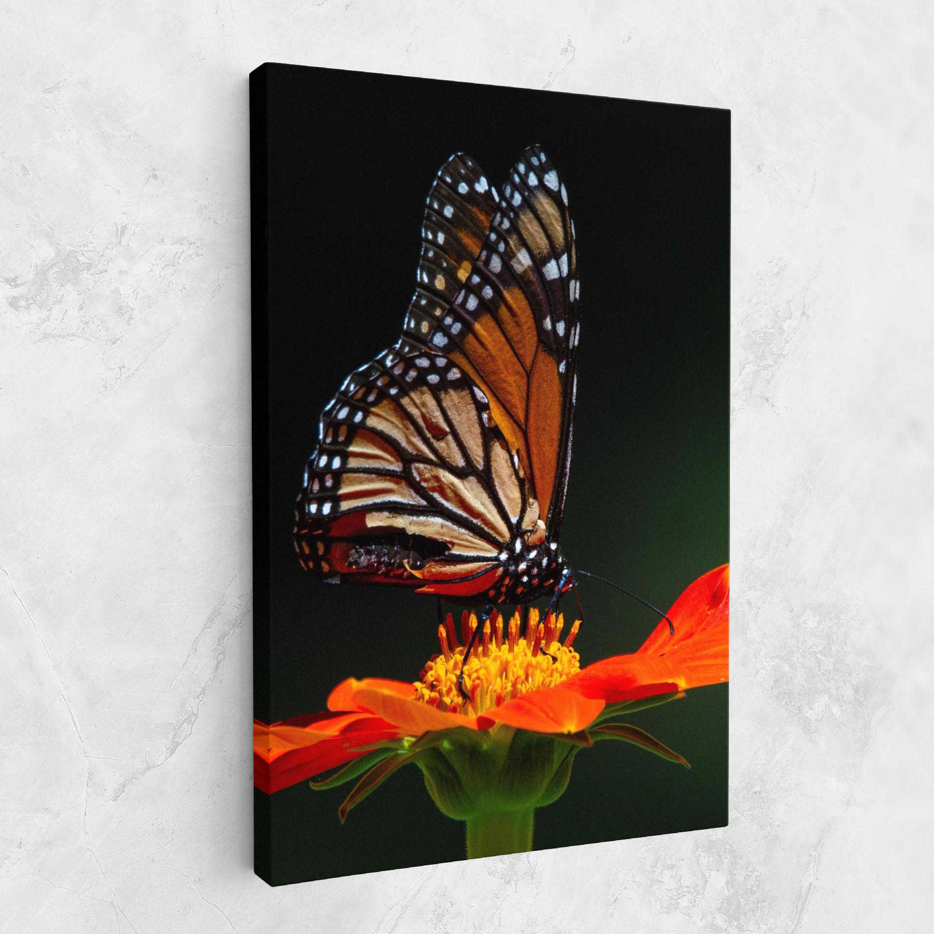 Tablou Canvas Dark Orange Butterfy mockup 1