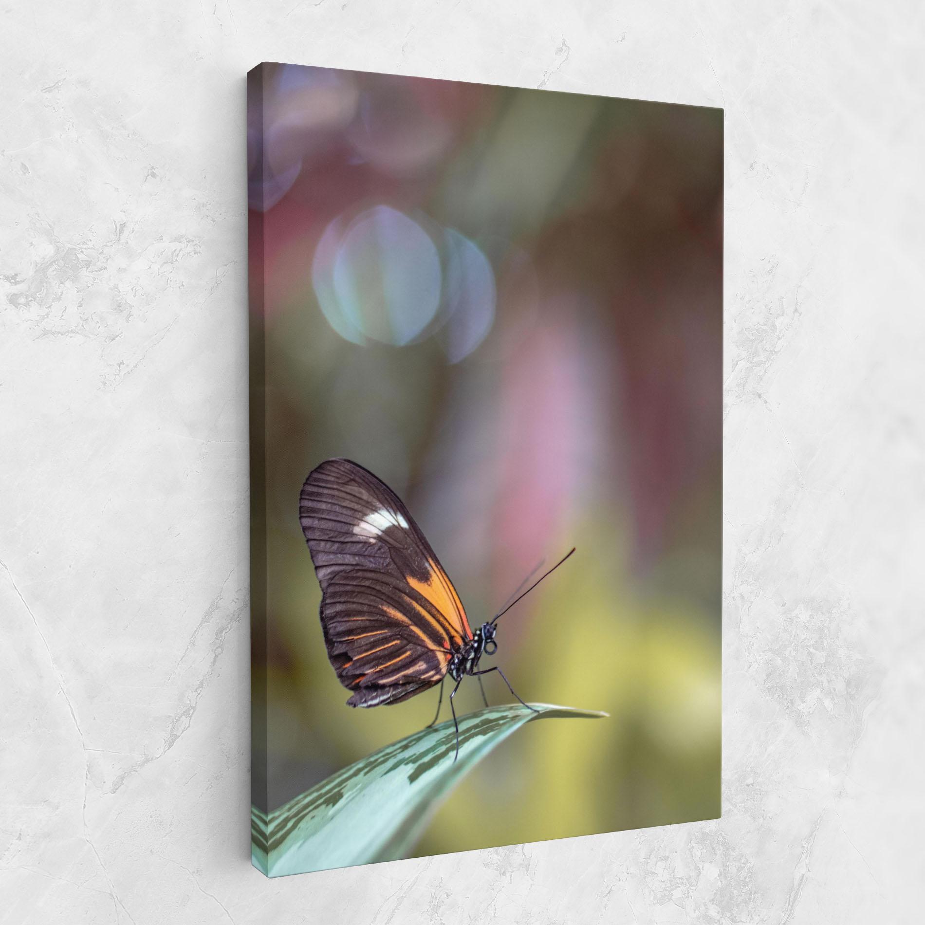 Tablou Canvas Dark Purple Butterfly mockup 1