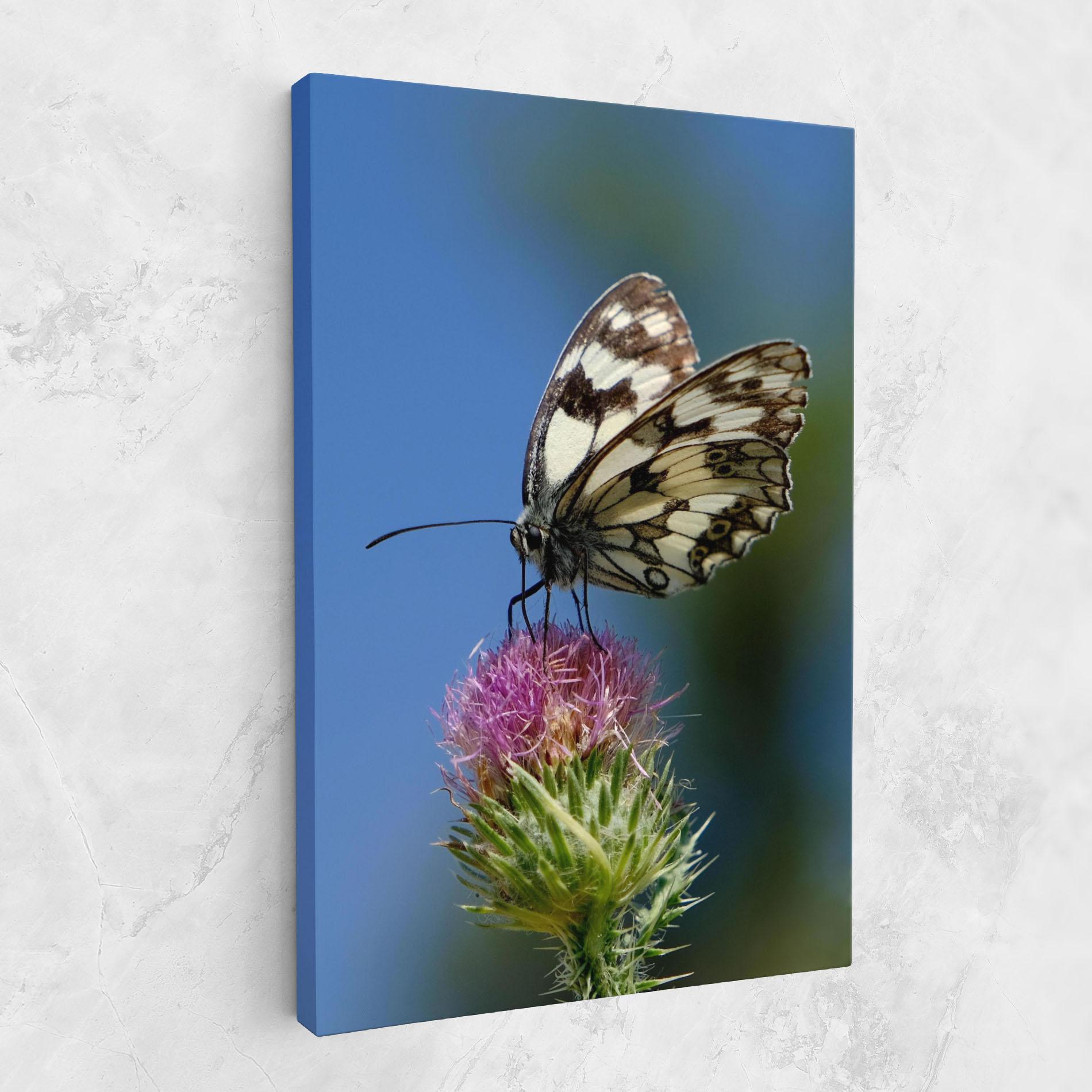 Tablou Canvas Grey White Butterfly mockup 1