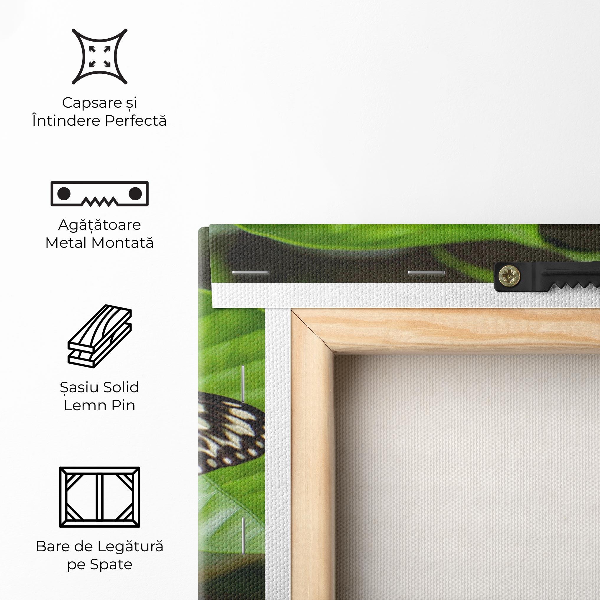 Tablou Canvas Beautiful White Butterfly mockup 5