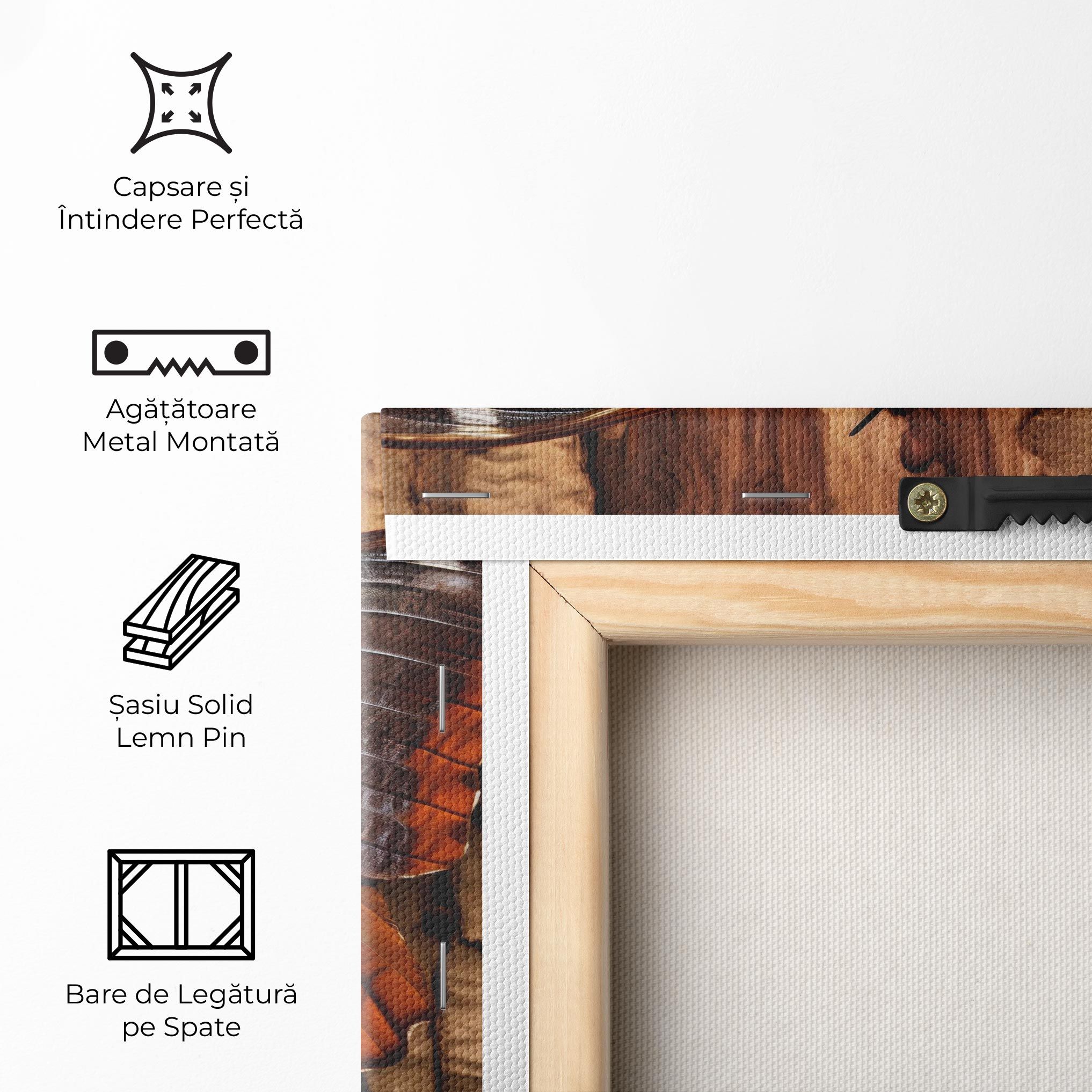 Brown Eyes Butterfly mockup 5