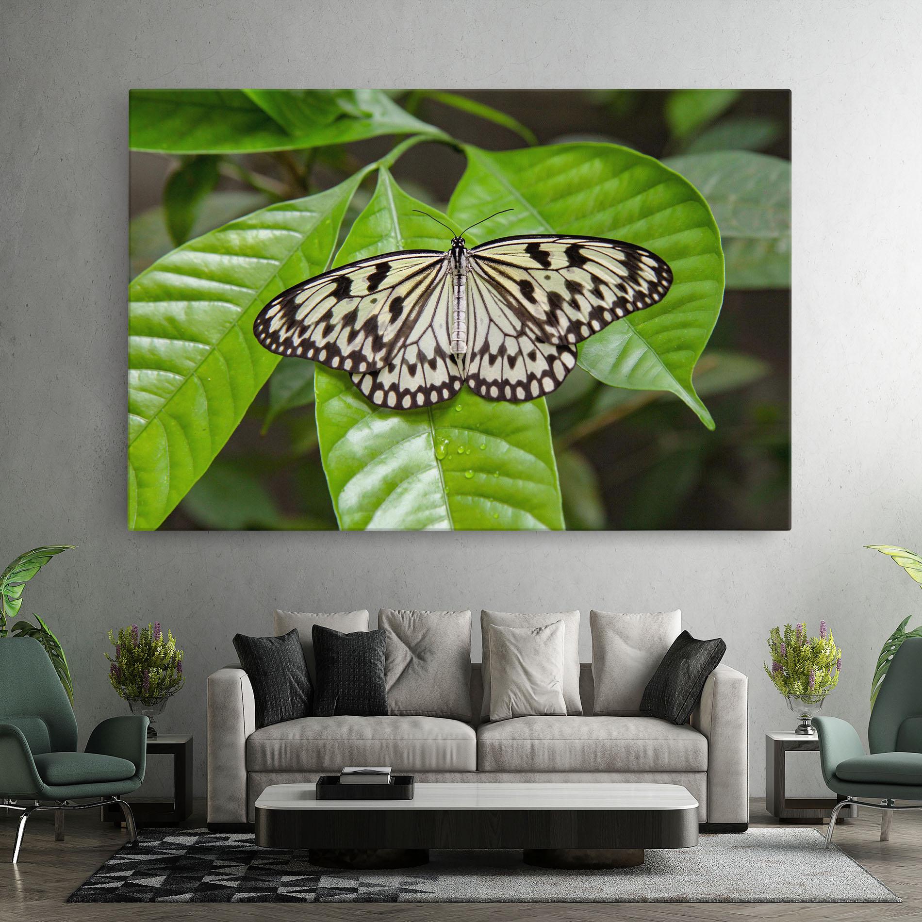 Tablou Canvas Beautiful White Butterfly mockup 7