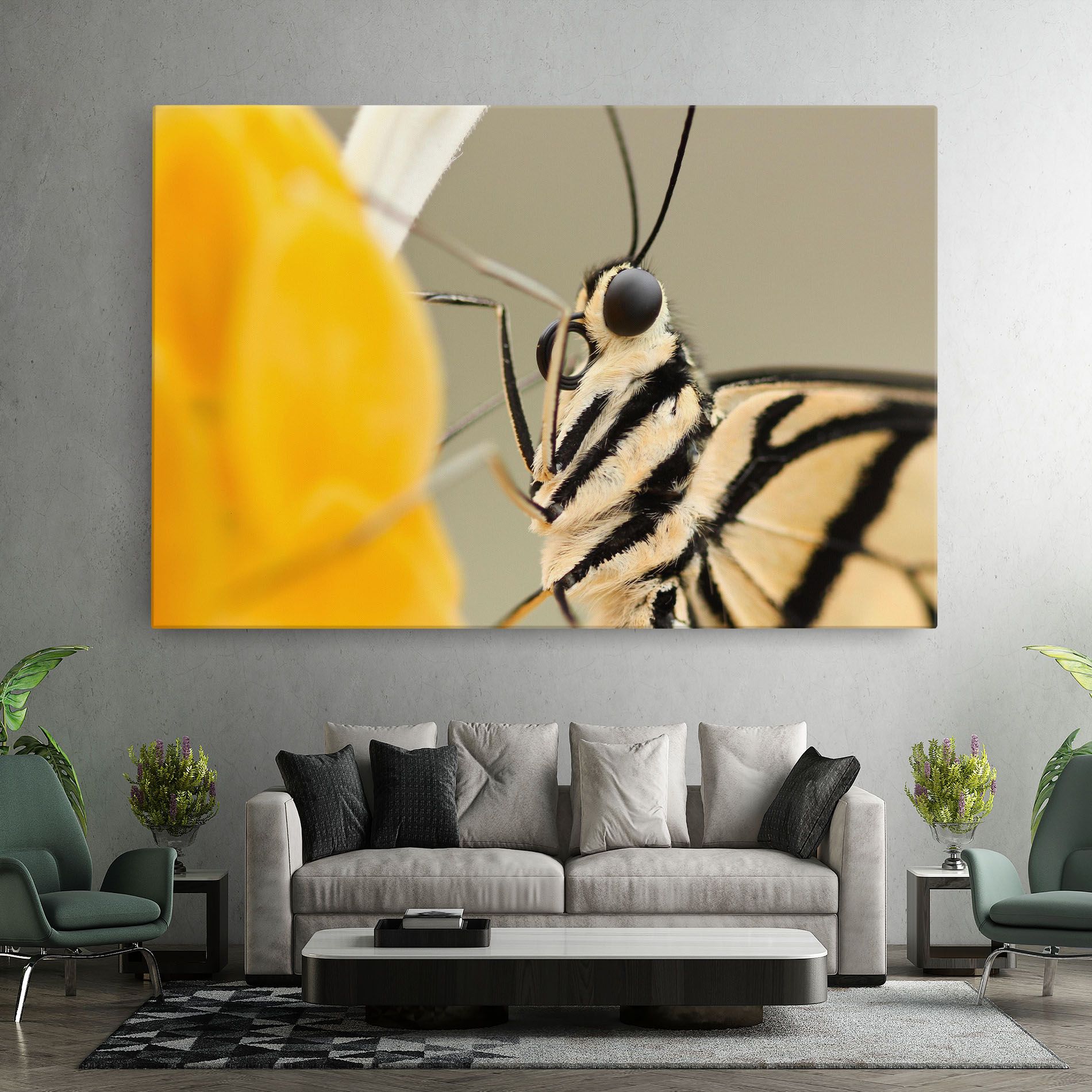 Close Up Cream Butterfly mockup 7