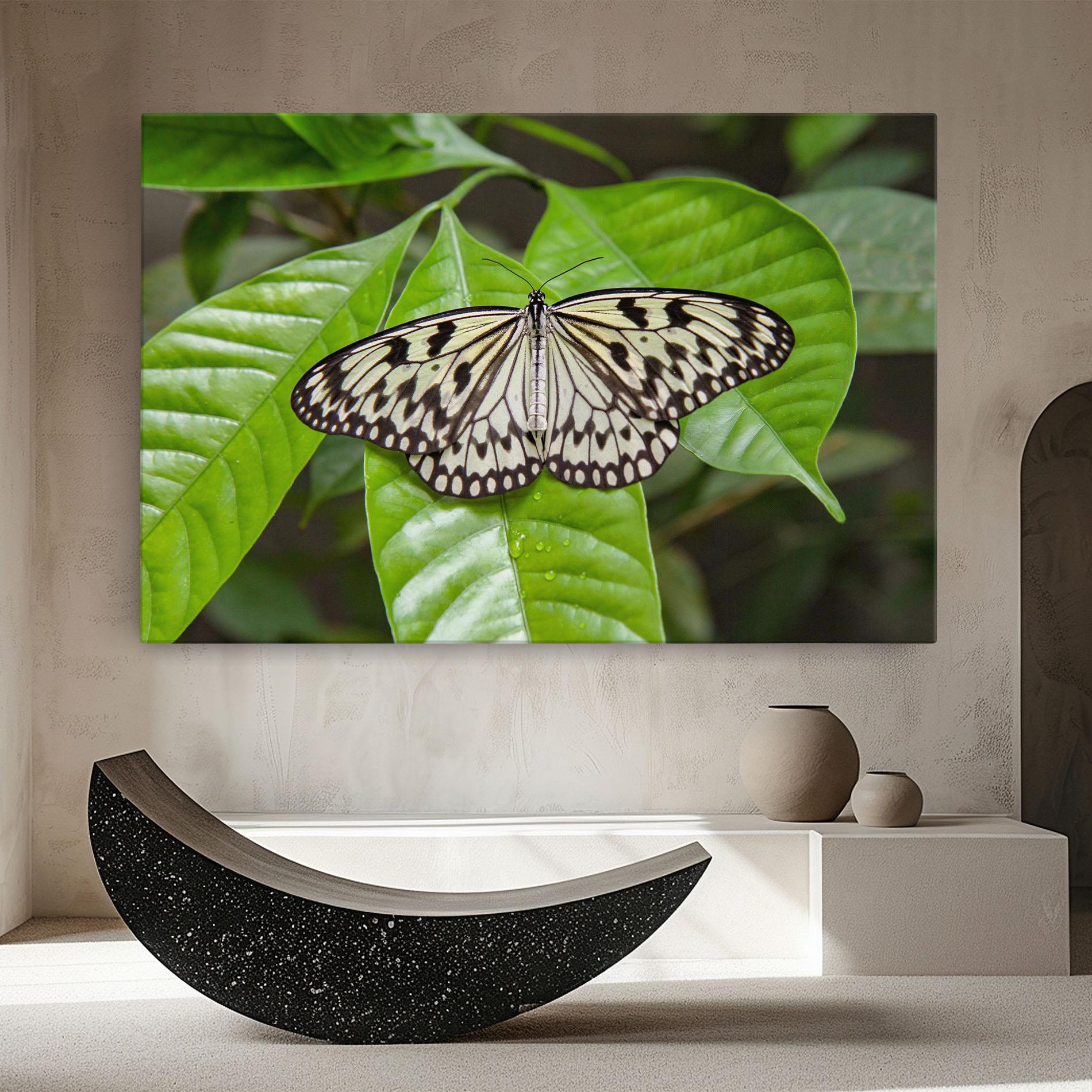 Tablou Canvas Beautiful White Butterfly mockup 8
