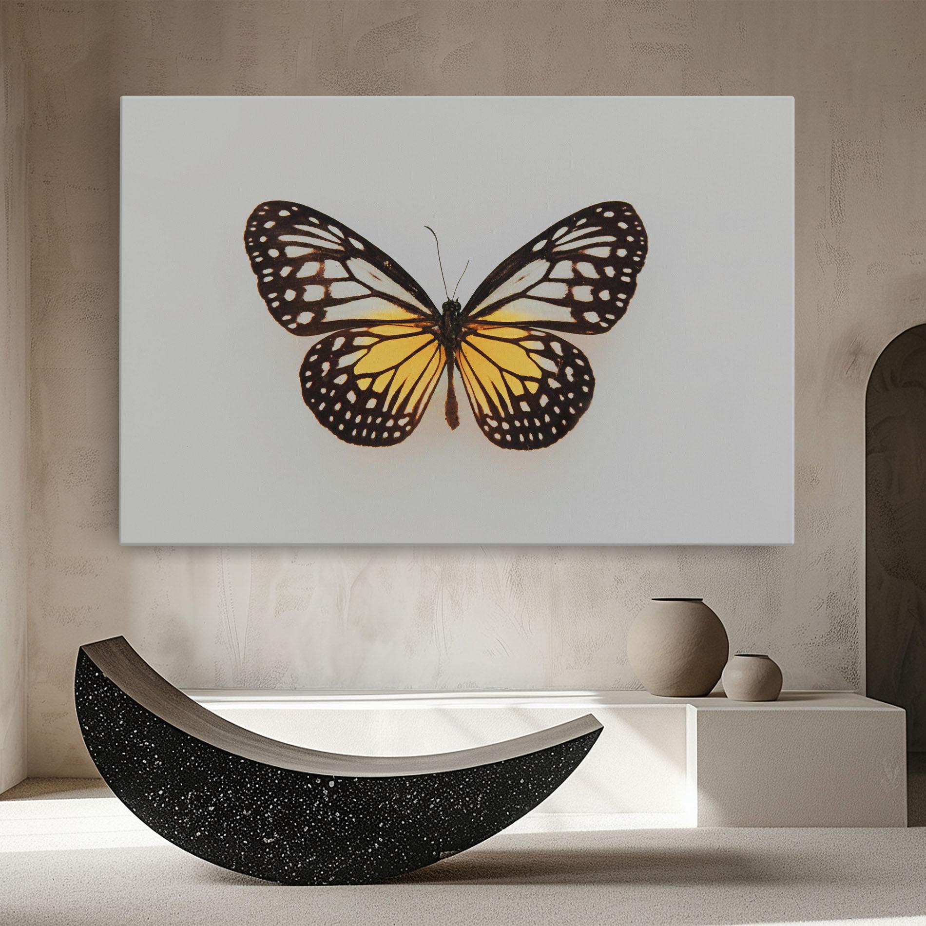Tablou Canvas Butterfly On Grey mockup 8
