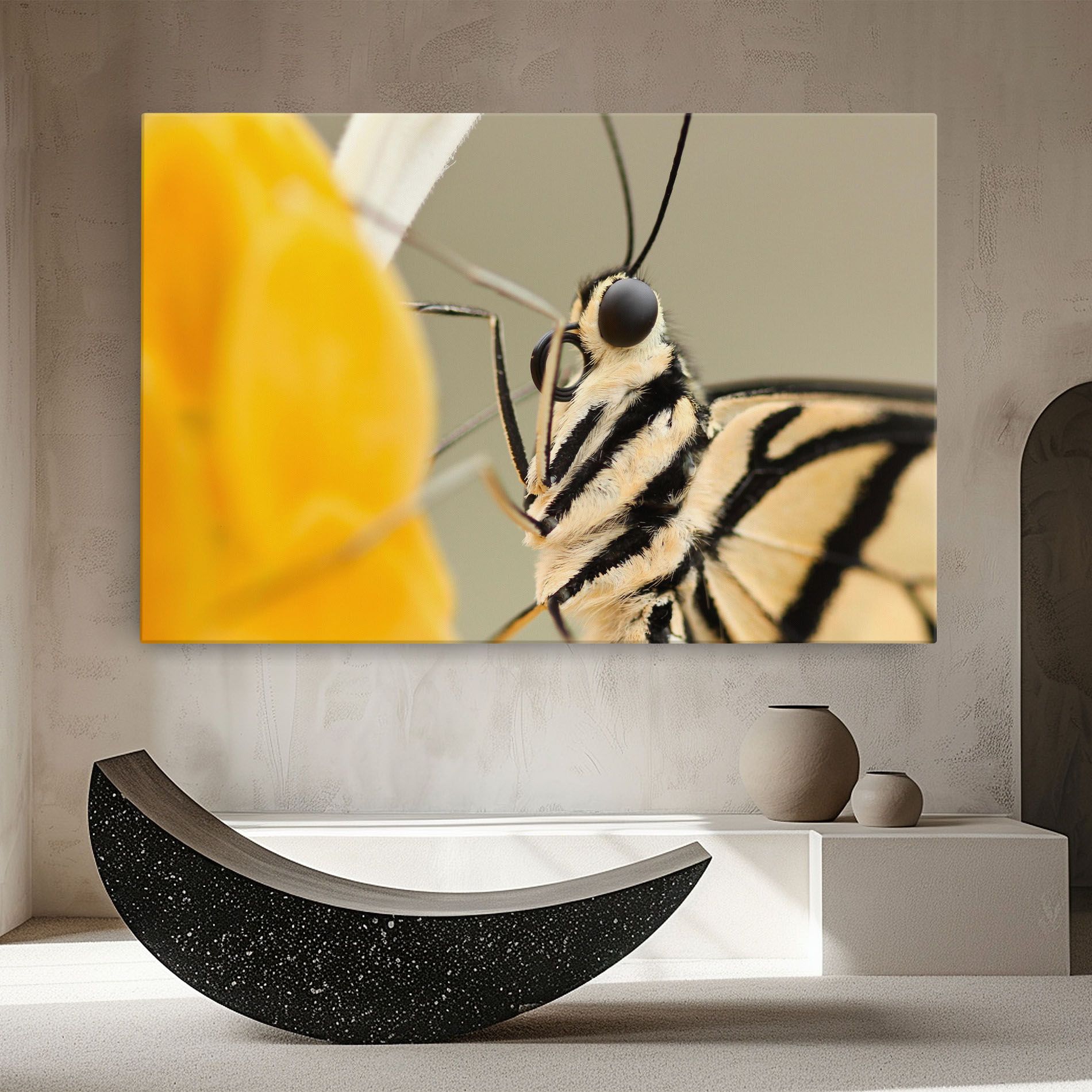 Close Up Cream Butterfly mockup 8