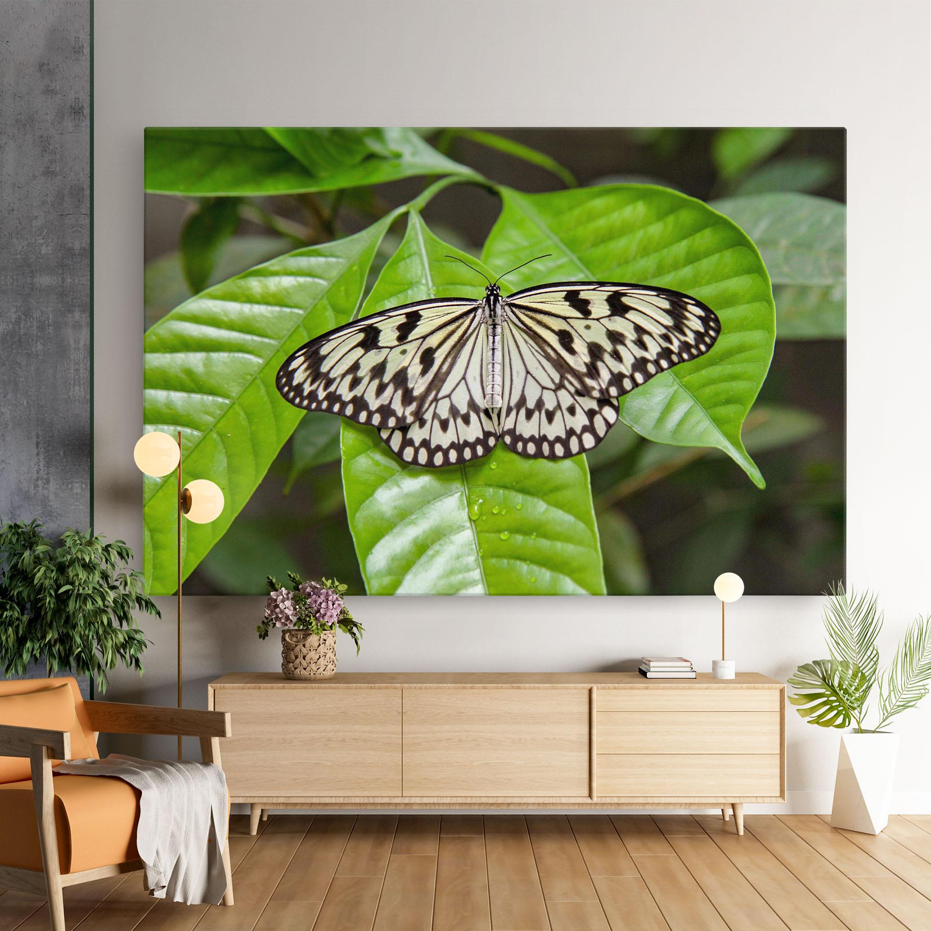 Tablou Canvas Beautiful White Butterfly mockup 9