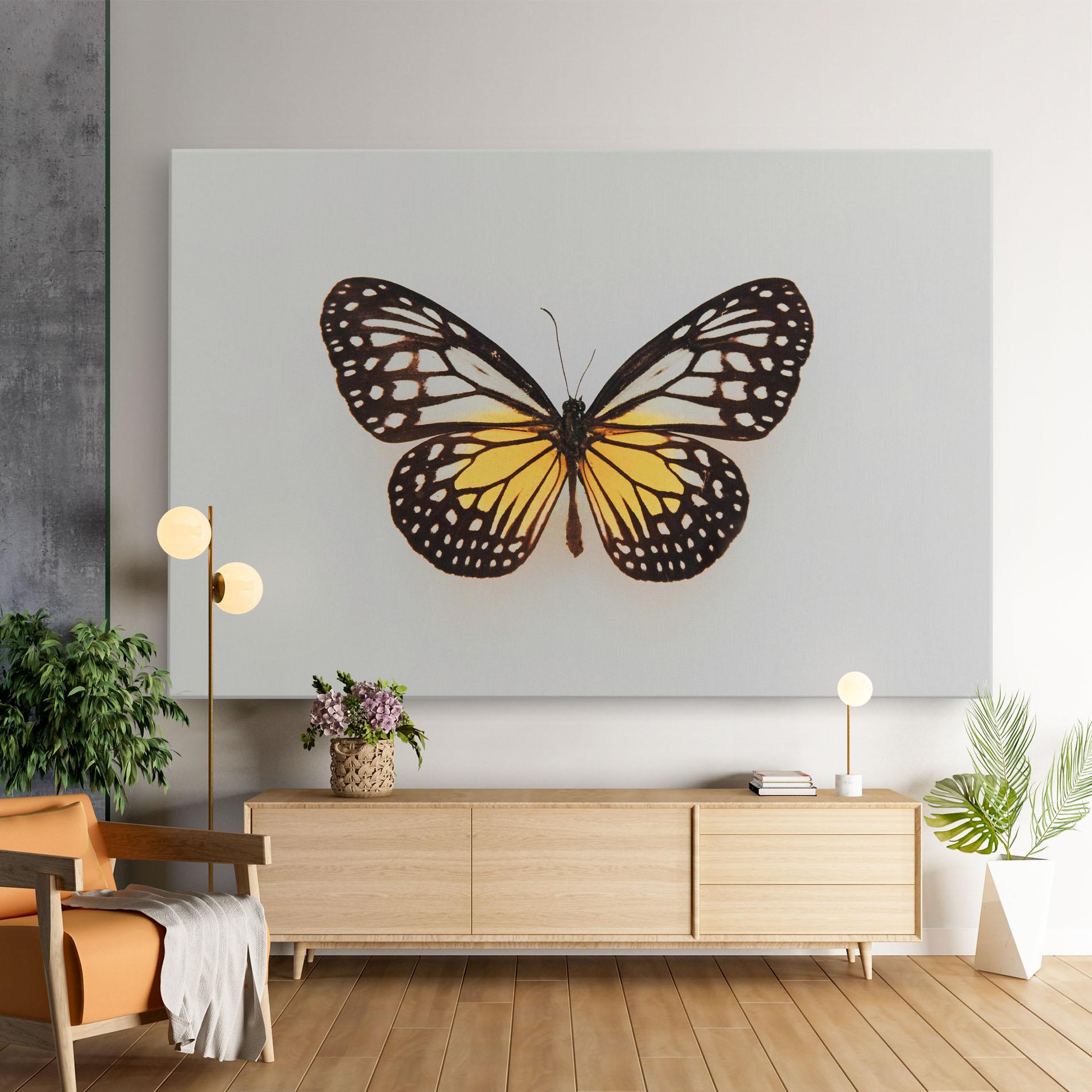 Tablou Canvas Butterfly On Grey mockup 9