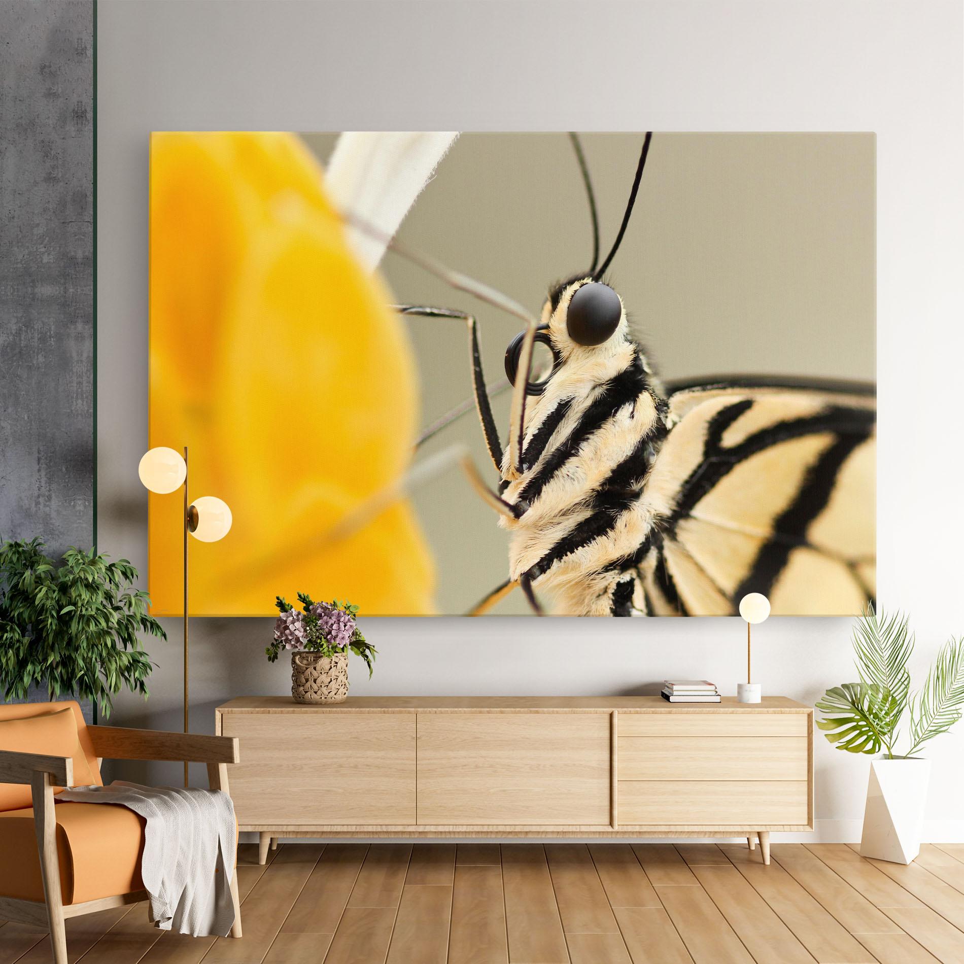 Tablou Canvas Close Up Cream Butterfly mockup 9