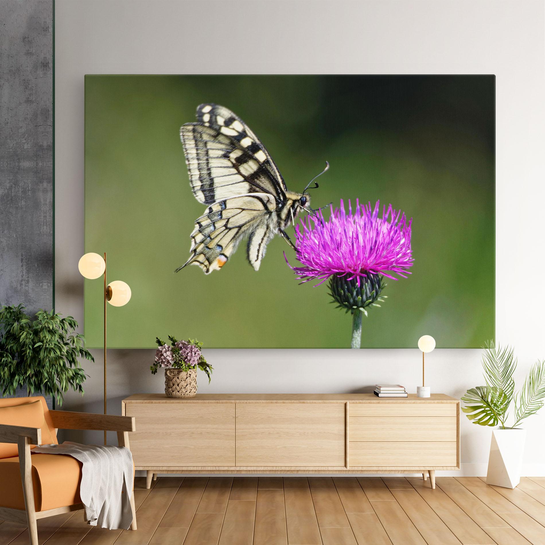 Tablou Canvas White Butterfly Pollen mockup 9