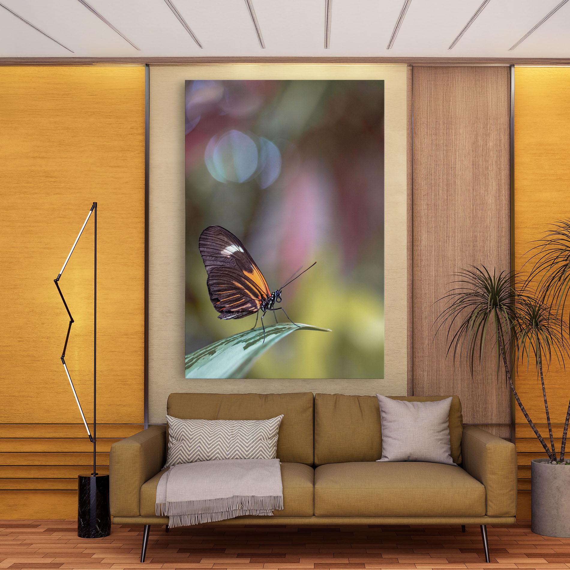 Tablou Canvas Dark Purple Butterfly mockup 9