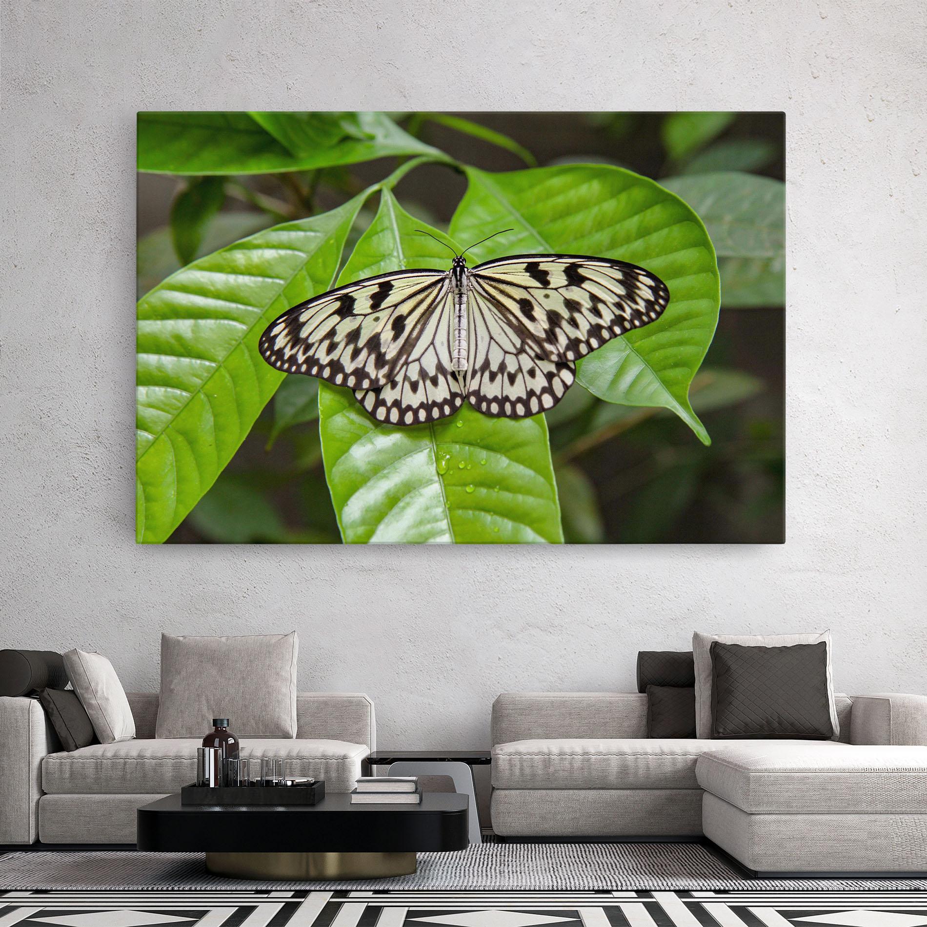 Tablou Canvas Beautiful White Butterfly mockup 2