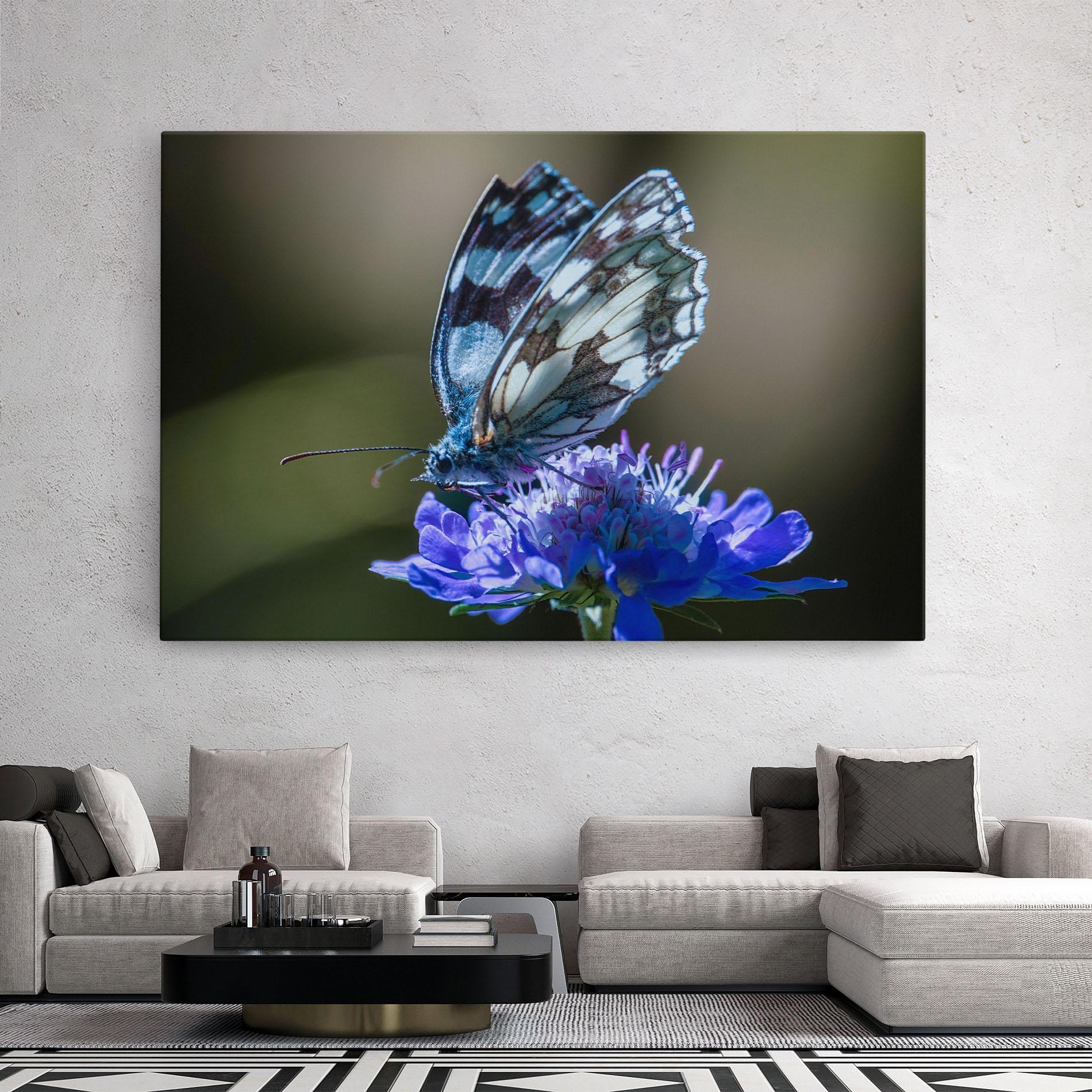 Tablou Canvas Blue Butterfly In Nature mockup 2