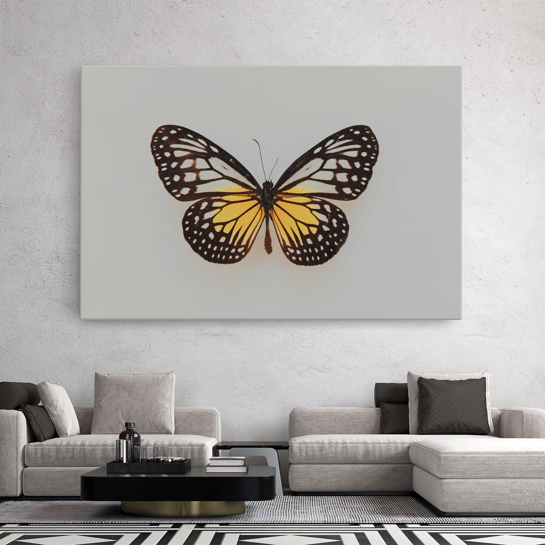 Tablou Canvas Butterfly On Grey mockup 2