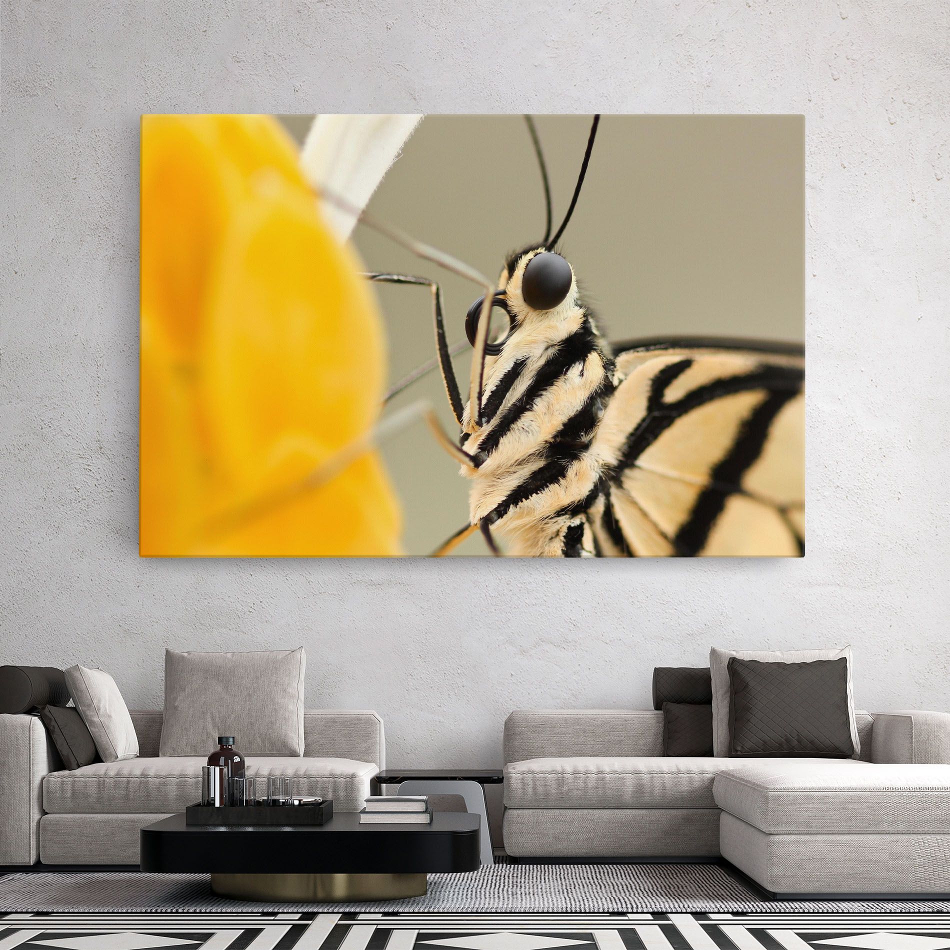 Close Up Cream Butterfly mockup 2