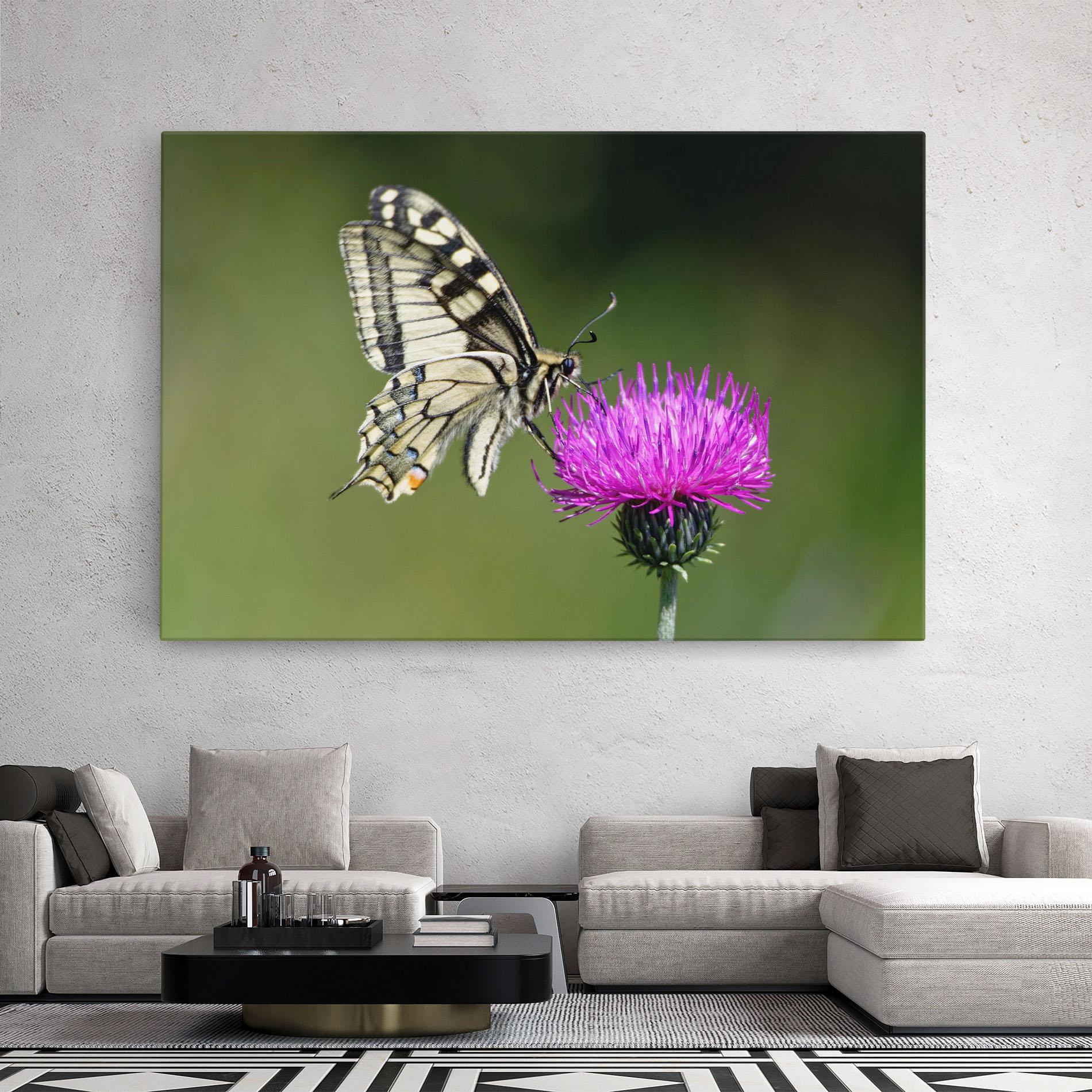 Tablou Canvas White Butterfly Pollen mockup 2