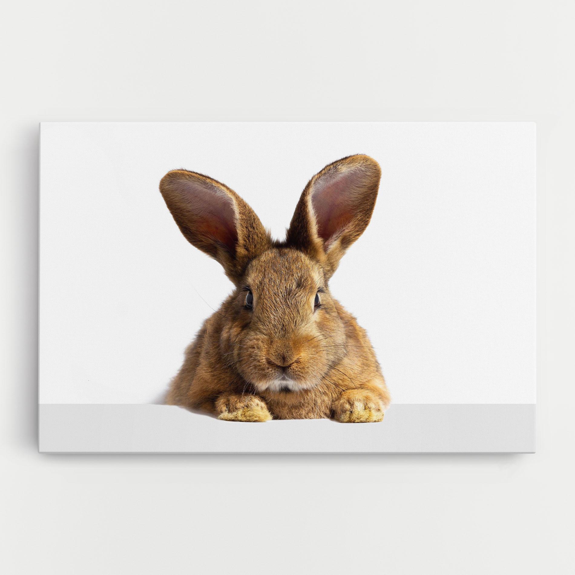Tablou Canvas Brown Cute Bunny mockup 0