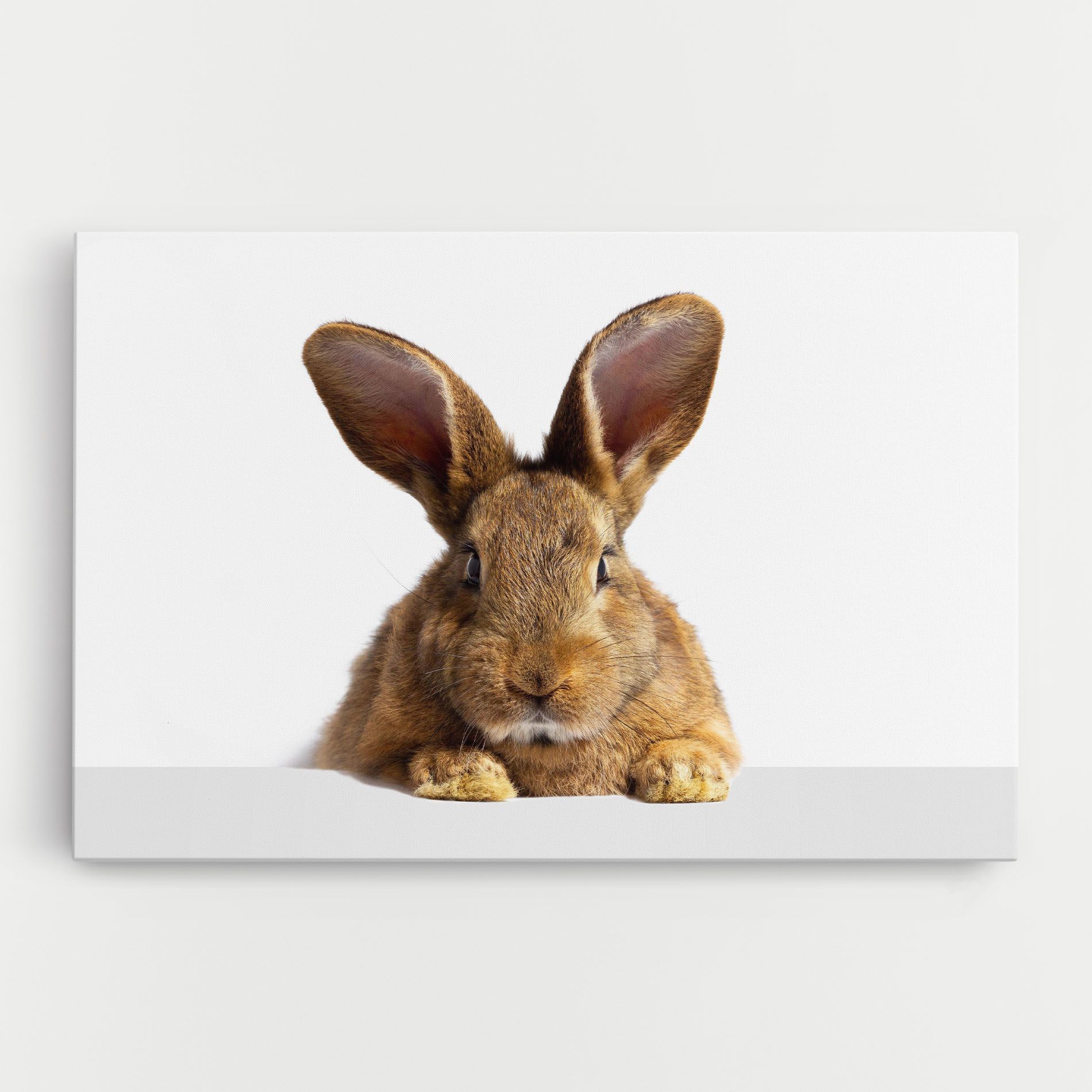 Brown Cute Bunny mockup 0