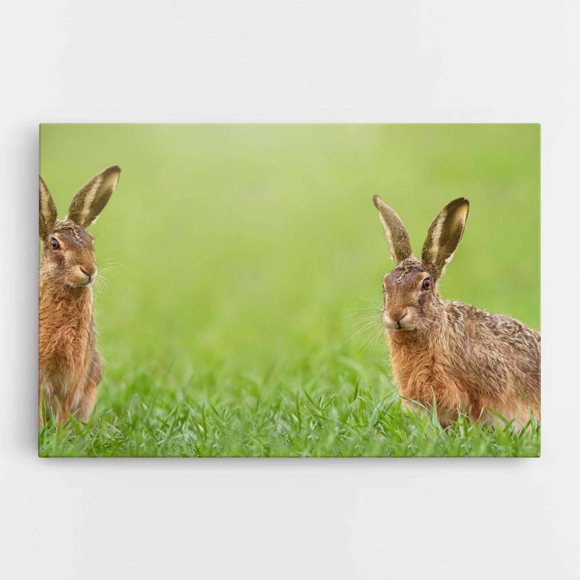 Tablou Canvas Brown Hares mockup 0