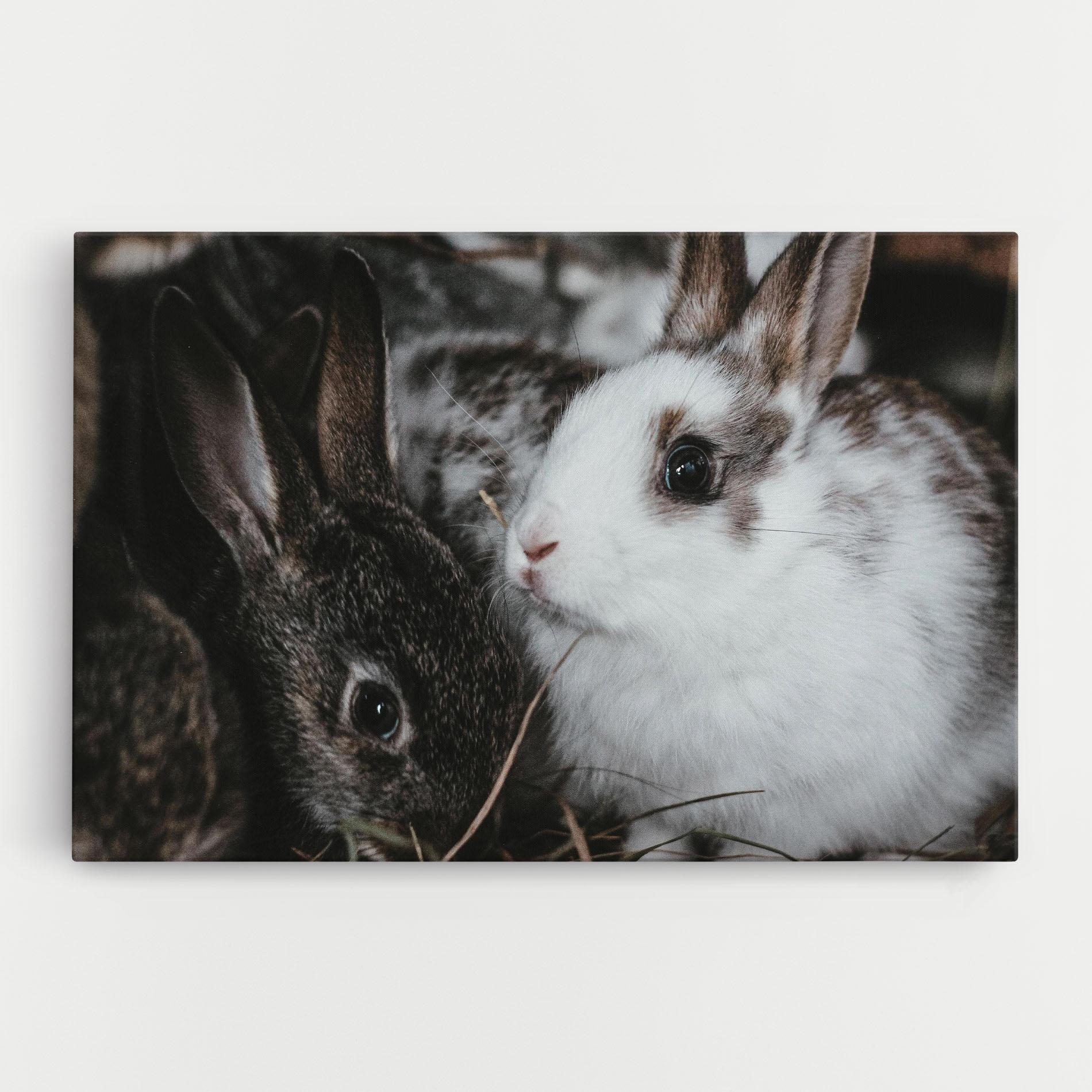 Tablou Canvas Cute Small Rabbit mockup 0