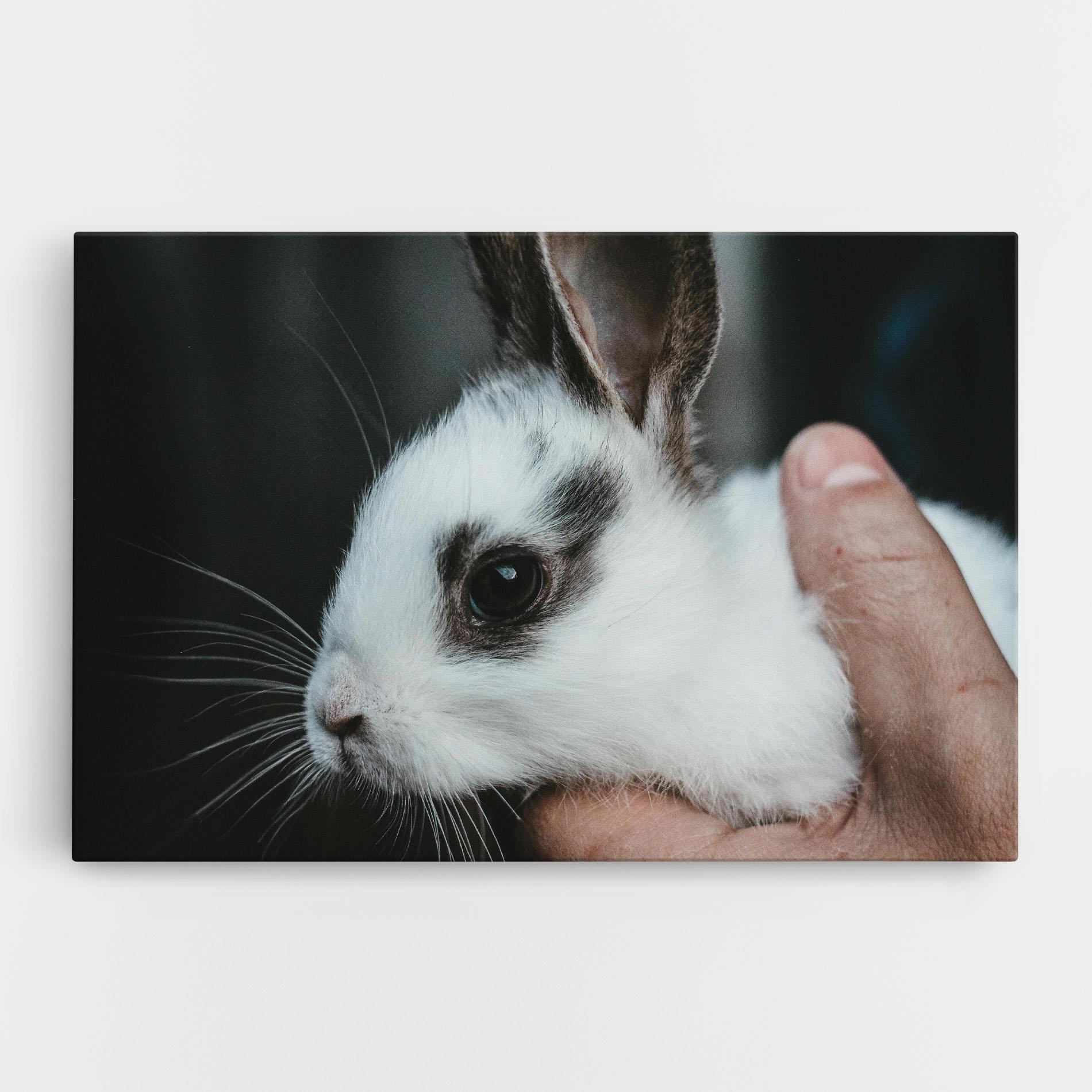 Tablou Canvas Holding Cute Bunny mockup 0