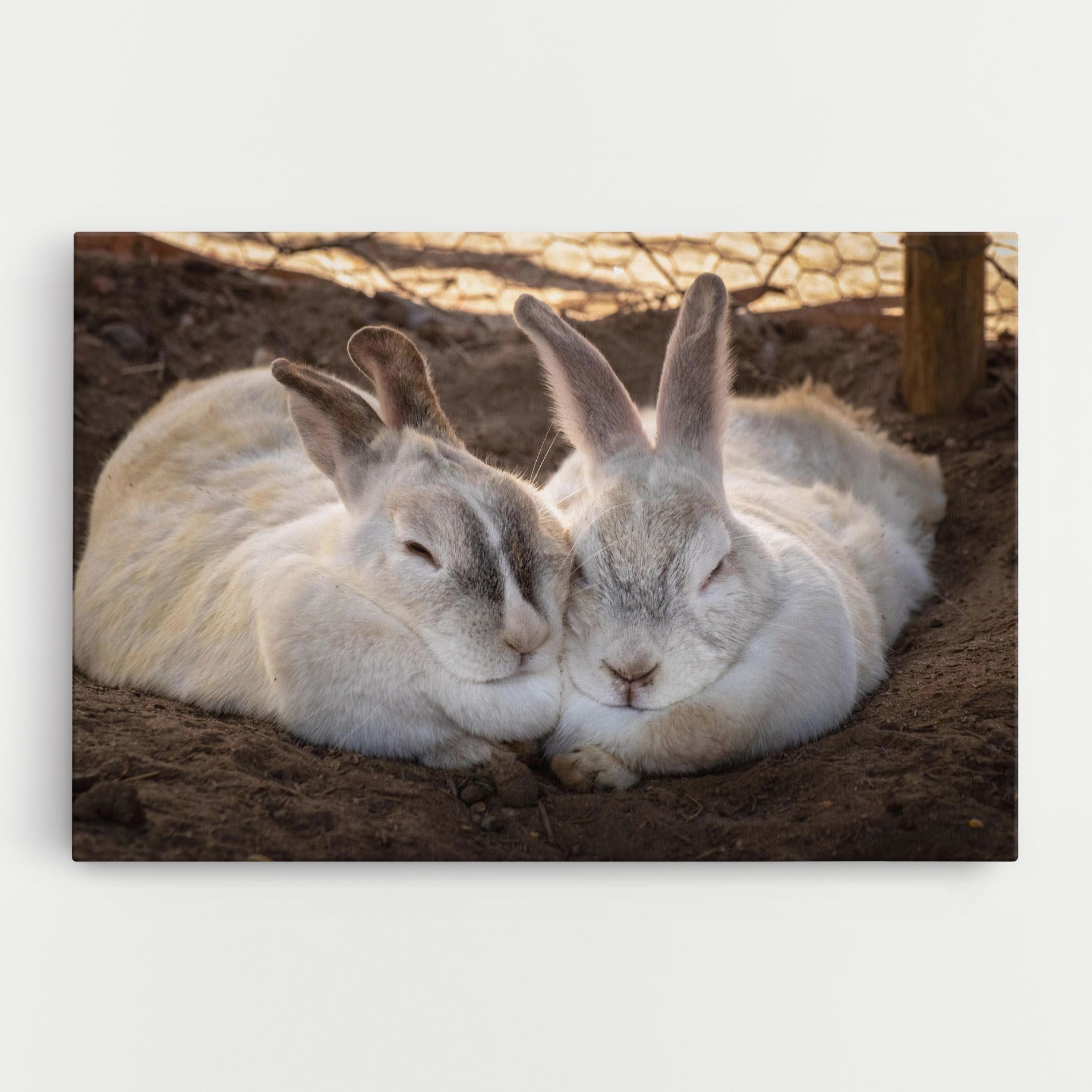 Light Grey Bunny Sleeping mockup 0