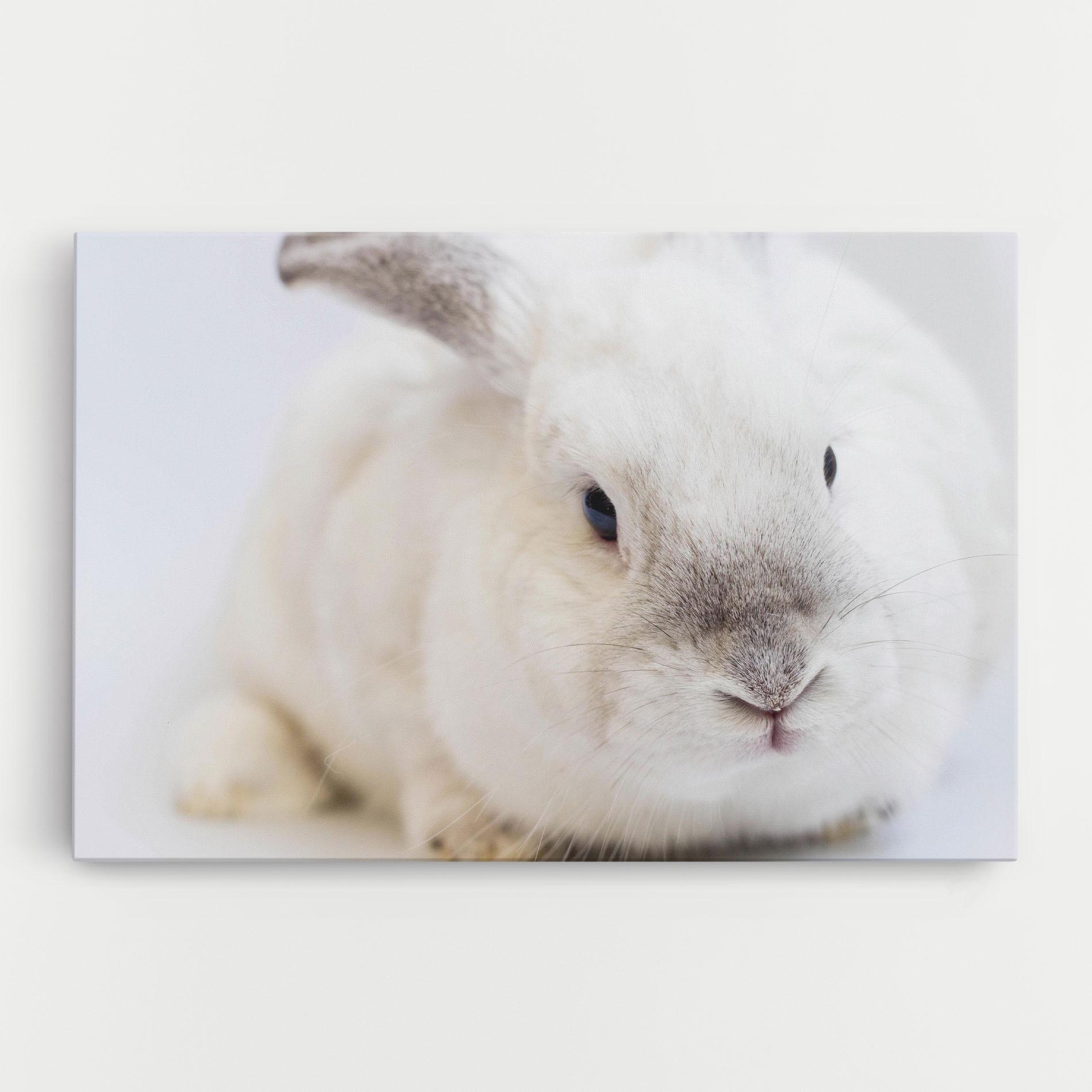 Tablou Canvas Light Grey Bunny mockup 0