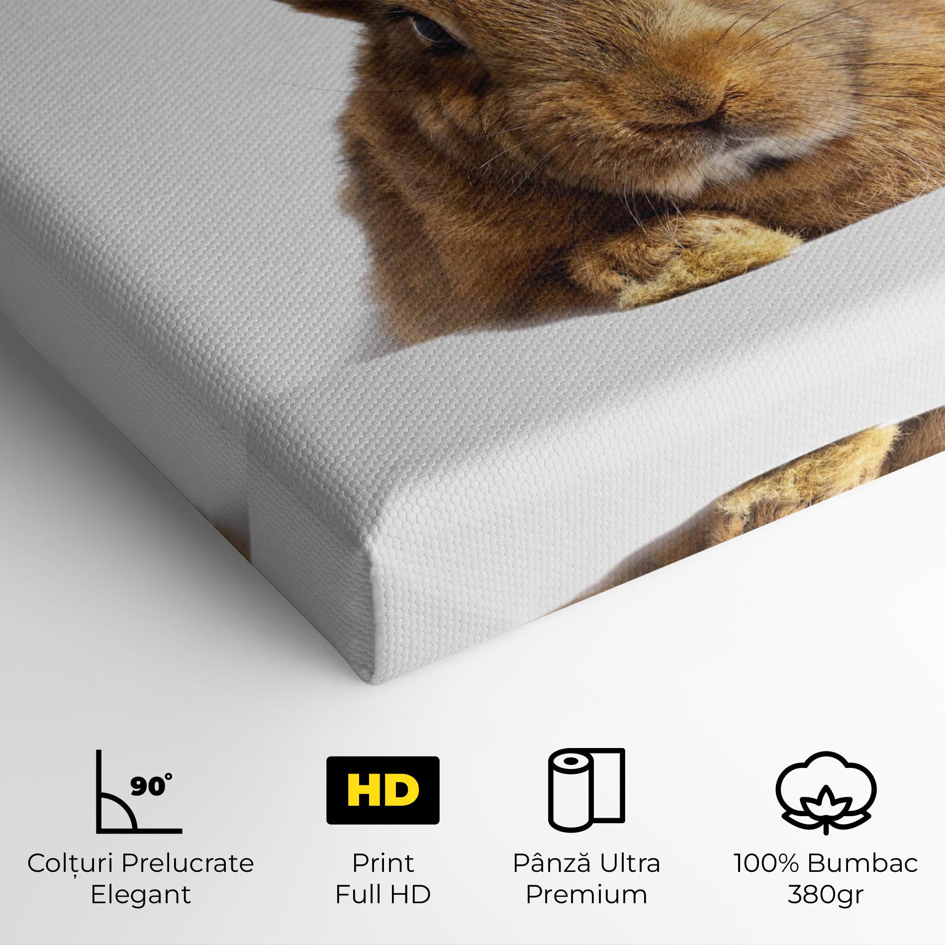 Tablou Canvas Brown Cute Bunny mockup 4