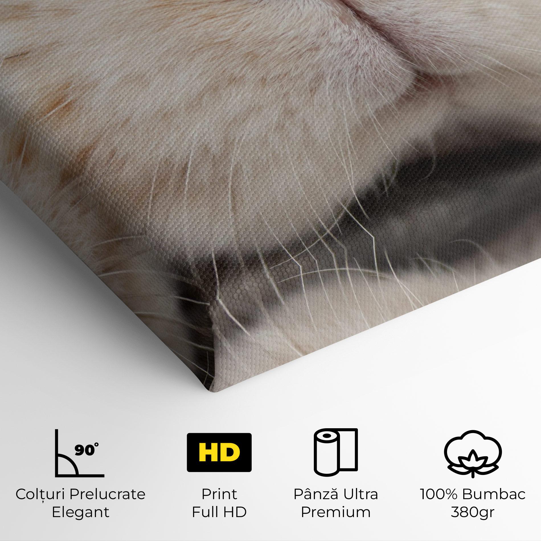Tablou Canvas Close Up Bunny mockup 4