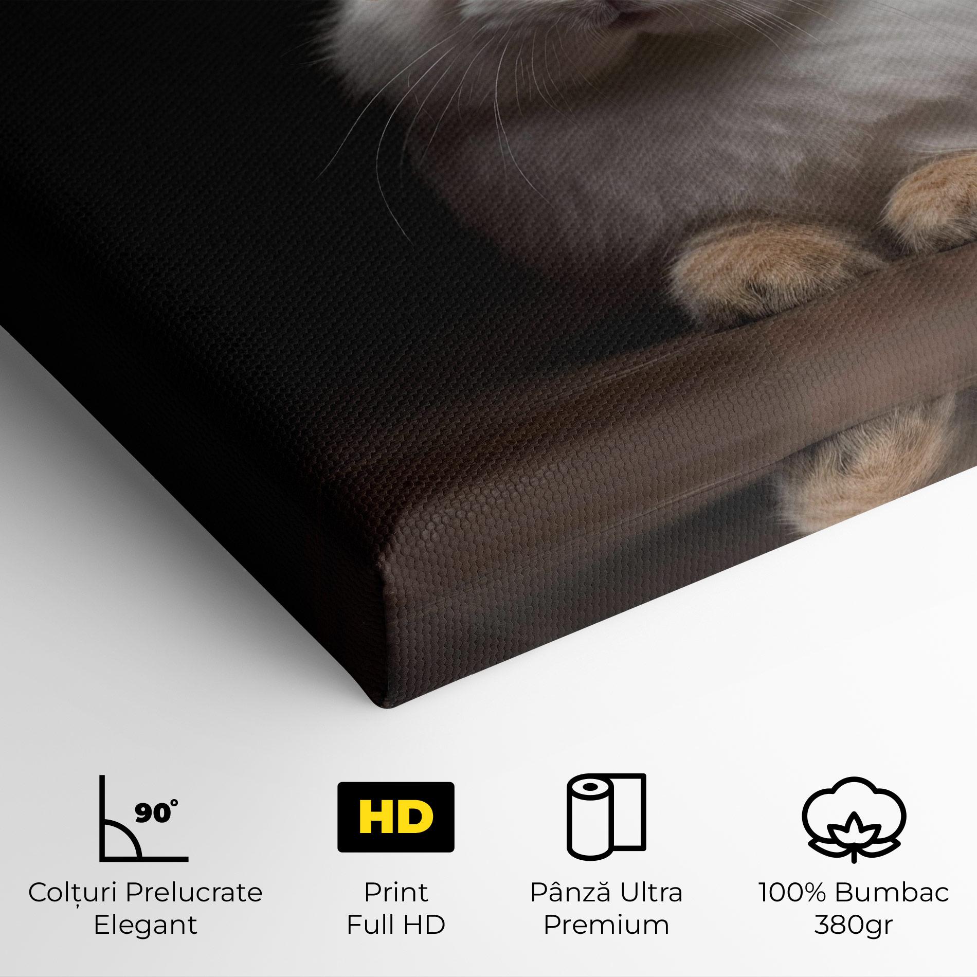 Tablou Canvas Eyeglasses Bunny mockup 4