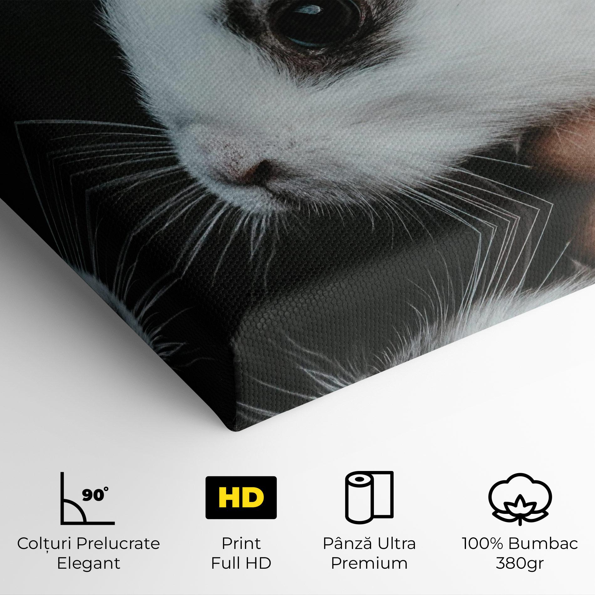 Tablou Canvas Holding Cute Bunny mockup 4