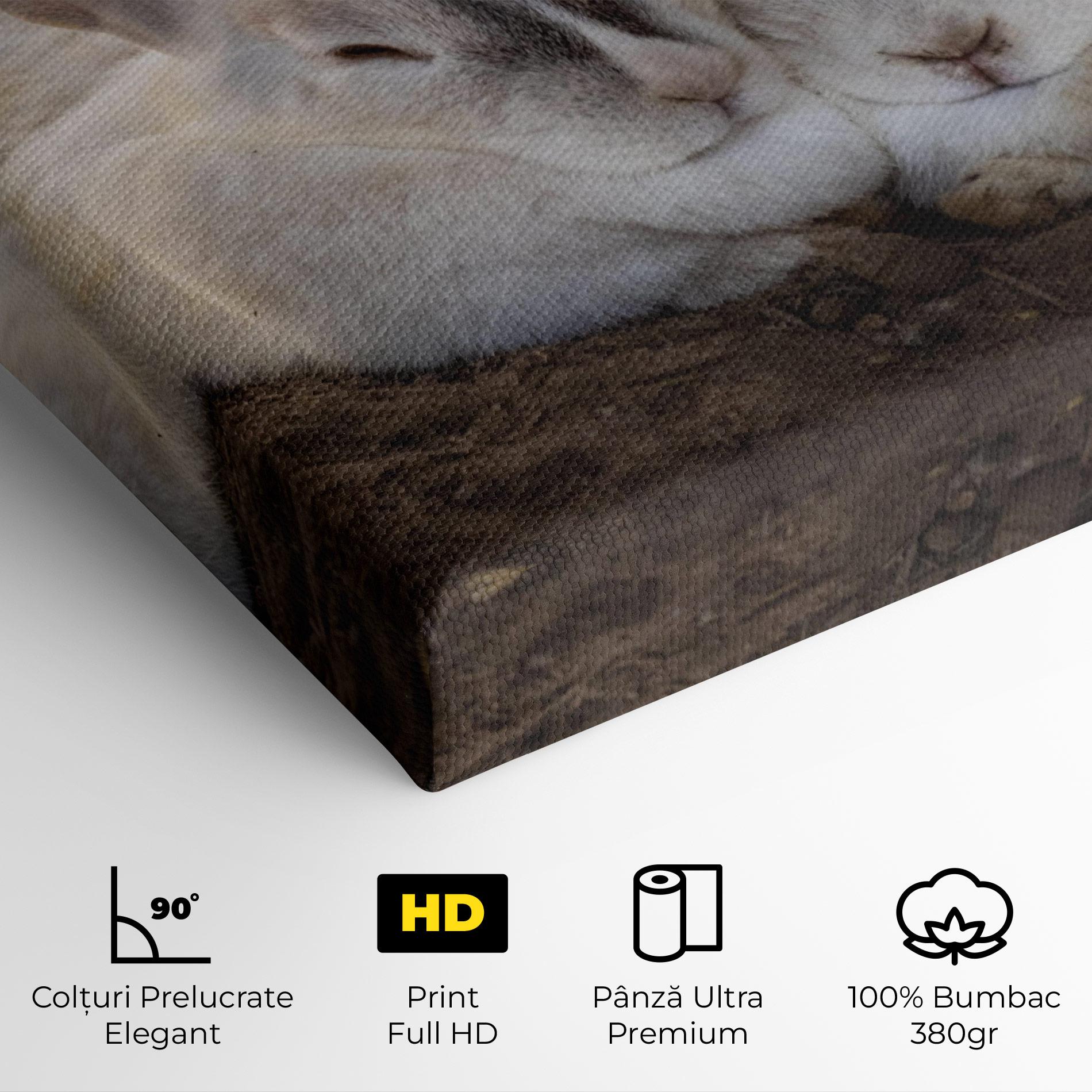 Tablou Canvas Light Grey Bunny Sleeping mockup 4