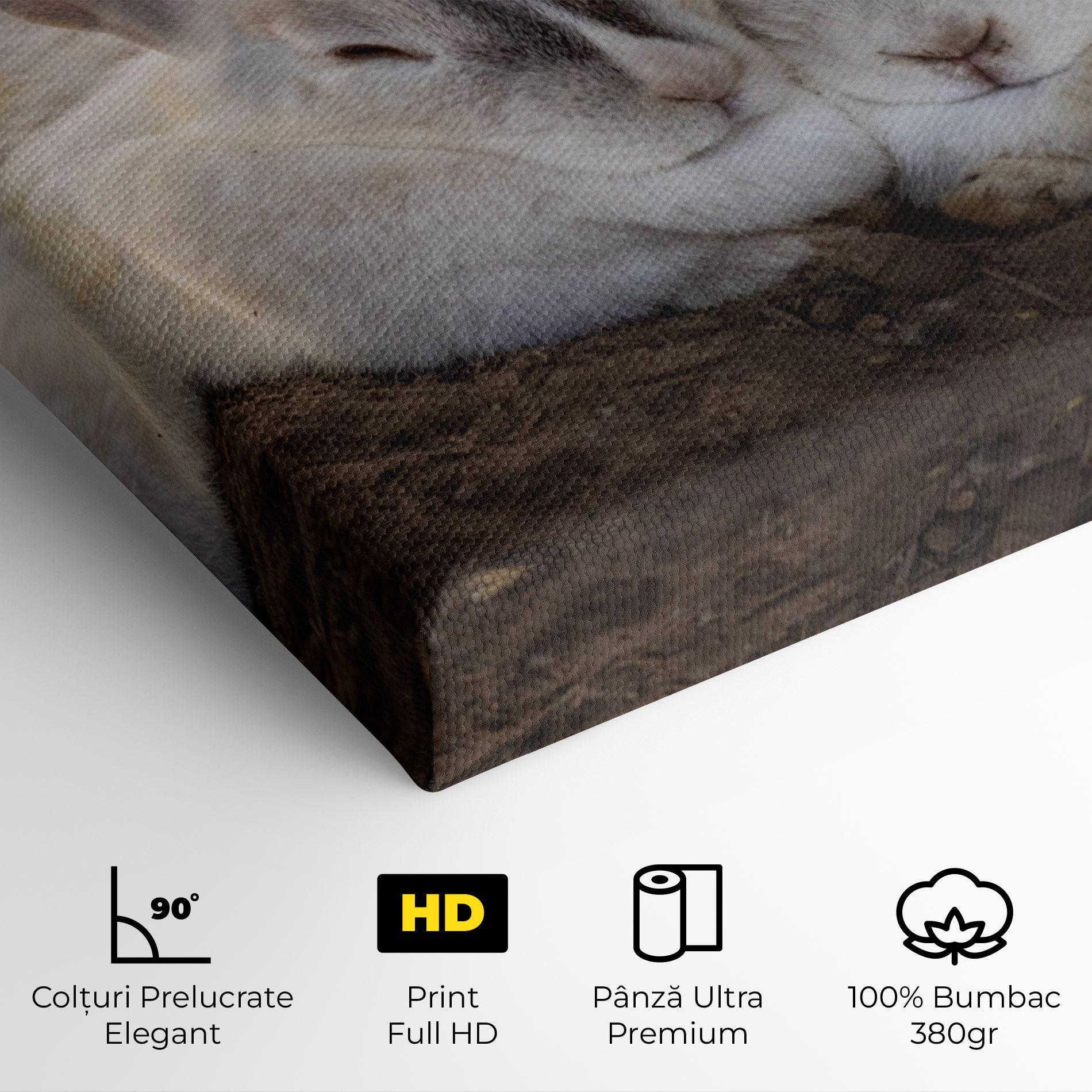 Light Grey Bunny Sleeping mockup 4