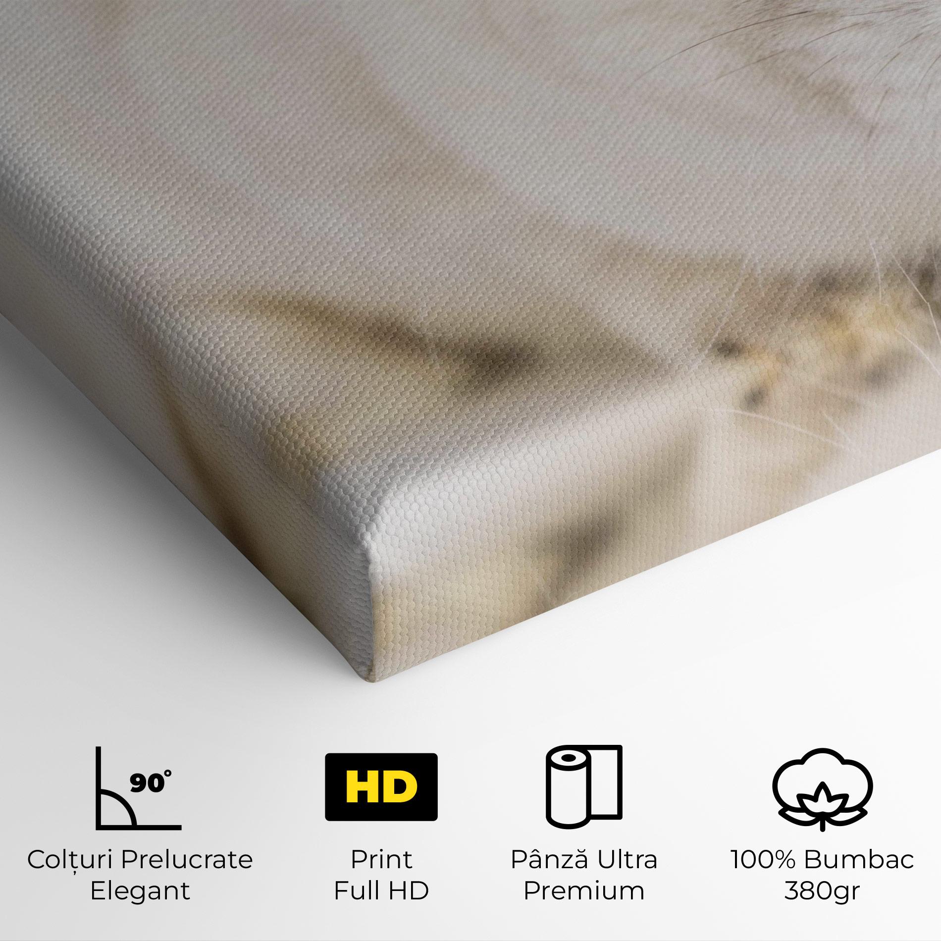 Tablou Canvas Light Grey Bunny mockup 4