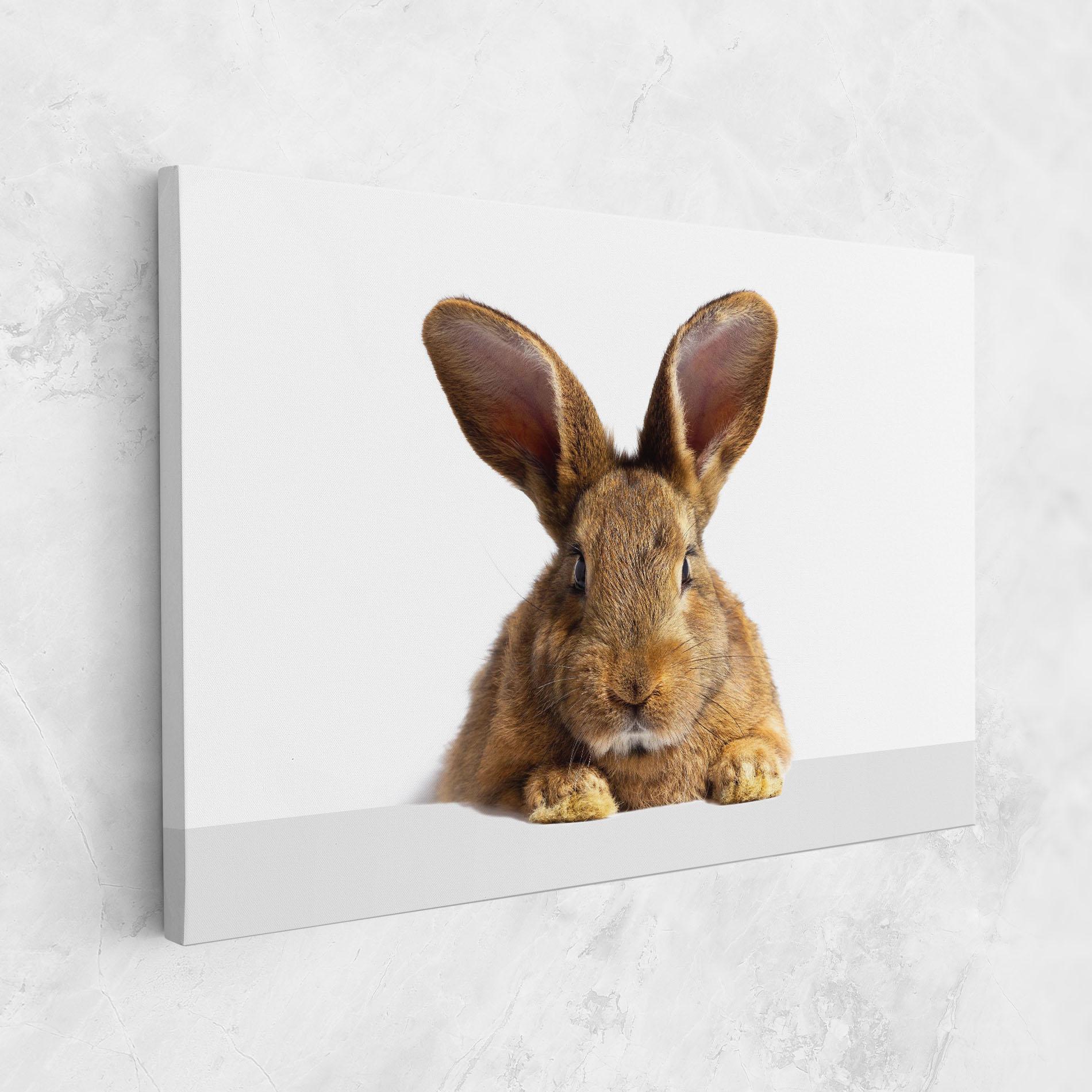 Tablou Canvas Brown Cute Bunny mockup 1