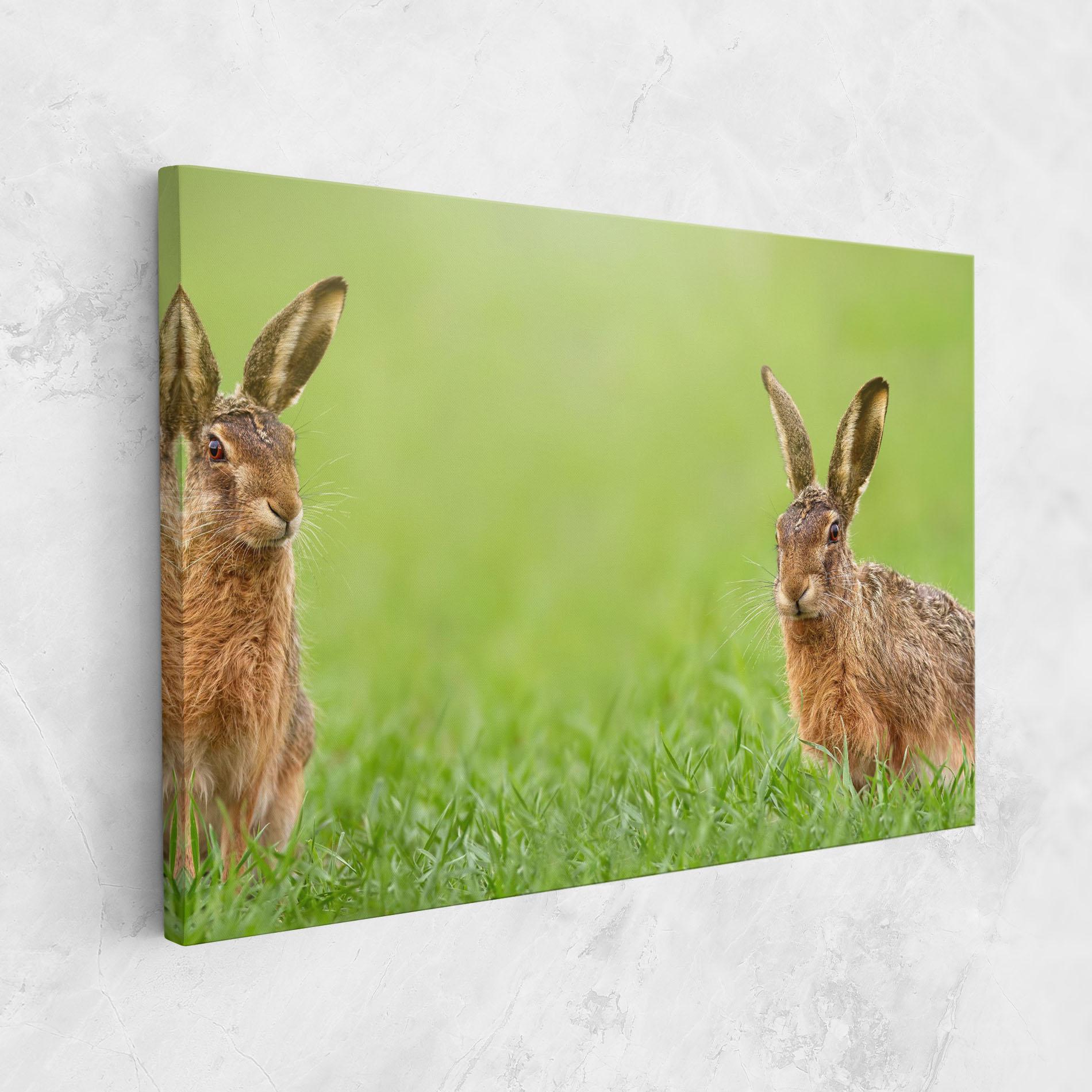 Tablou Canvas Brown Hares mockup 1