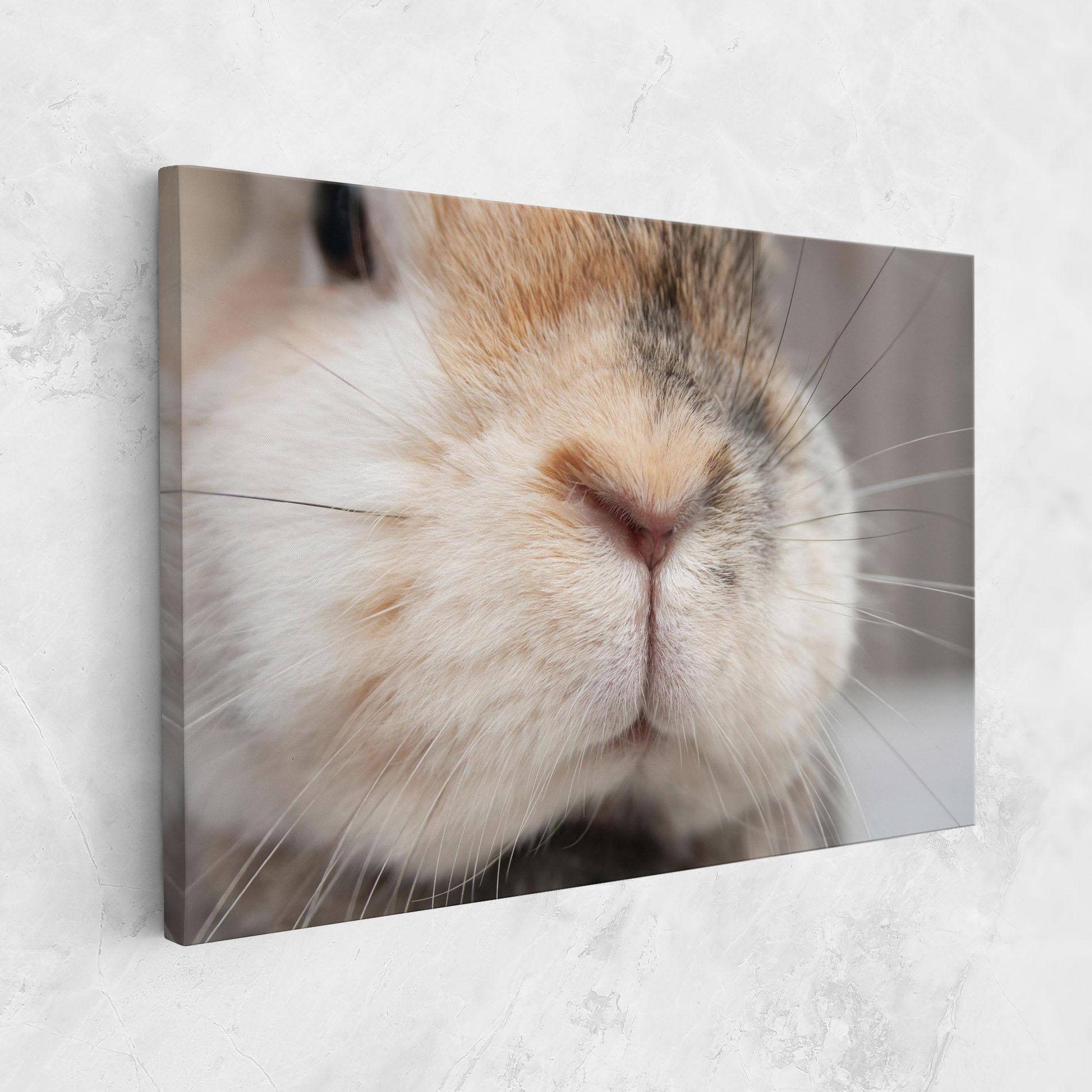 Tablou Canvas Close Up Bunny mockup 1