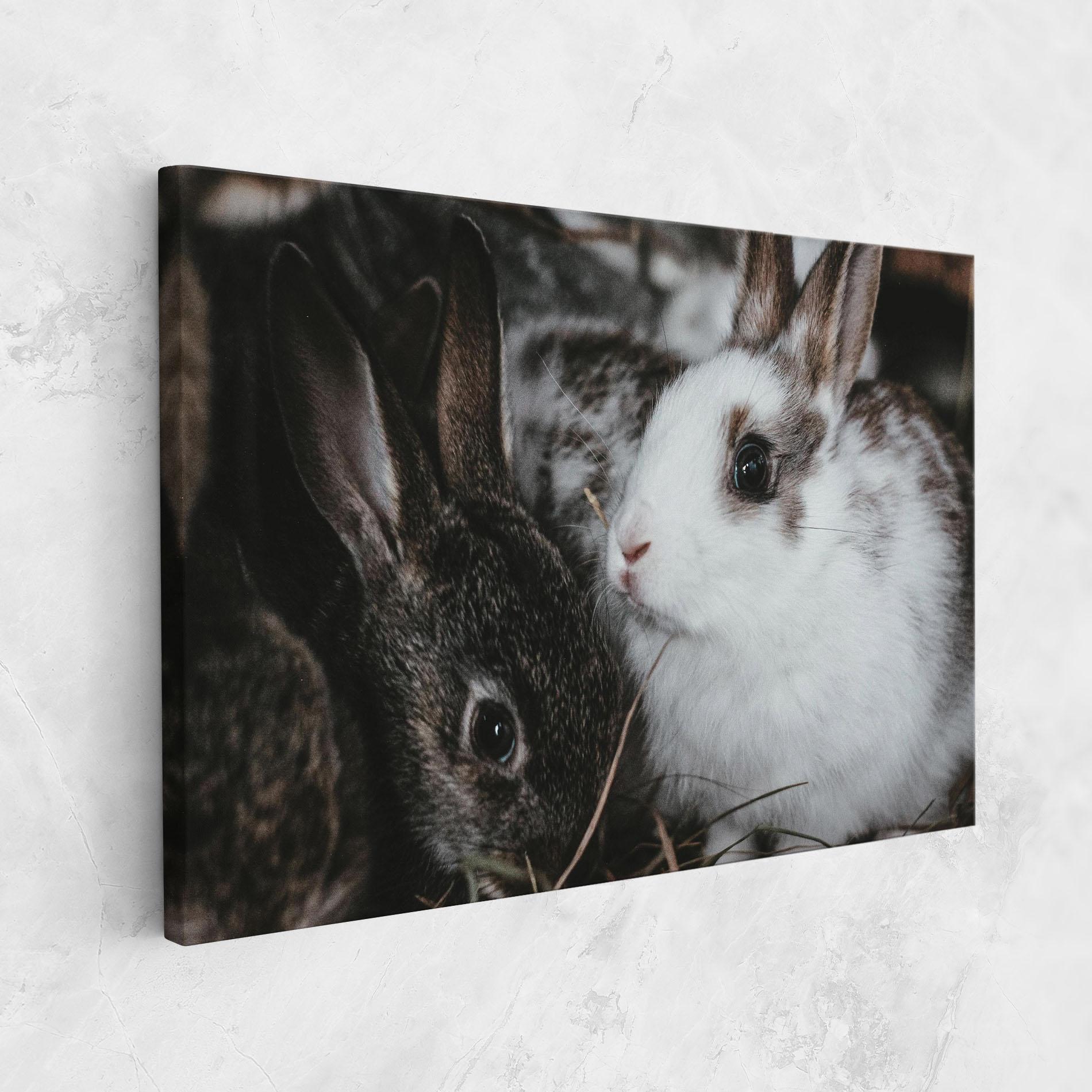 Tablou Canvas Cute Small Rabbit mockup 1
