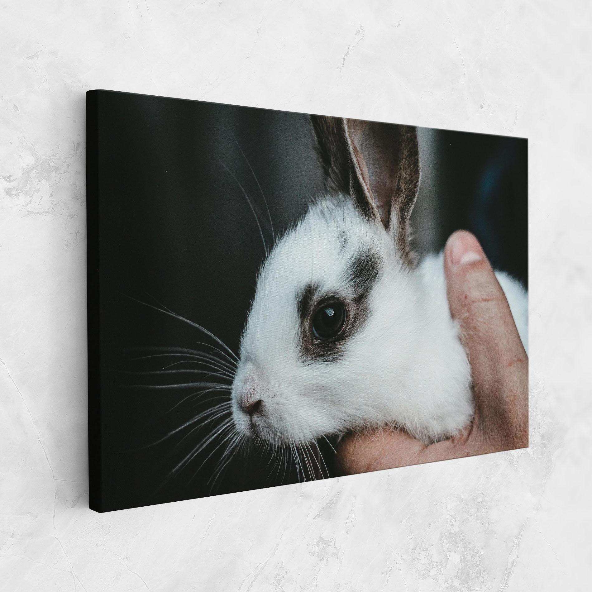 Tablou Canvas Holding Cute Bunny mockup 1