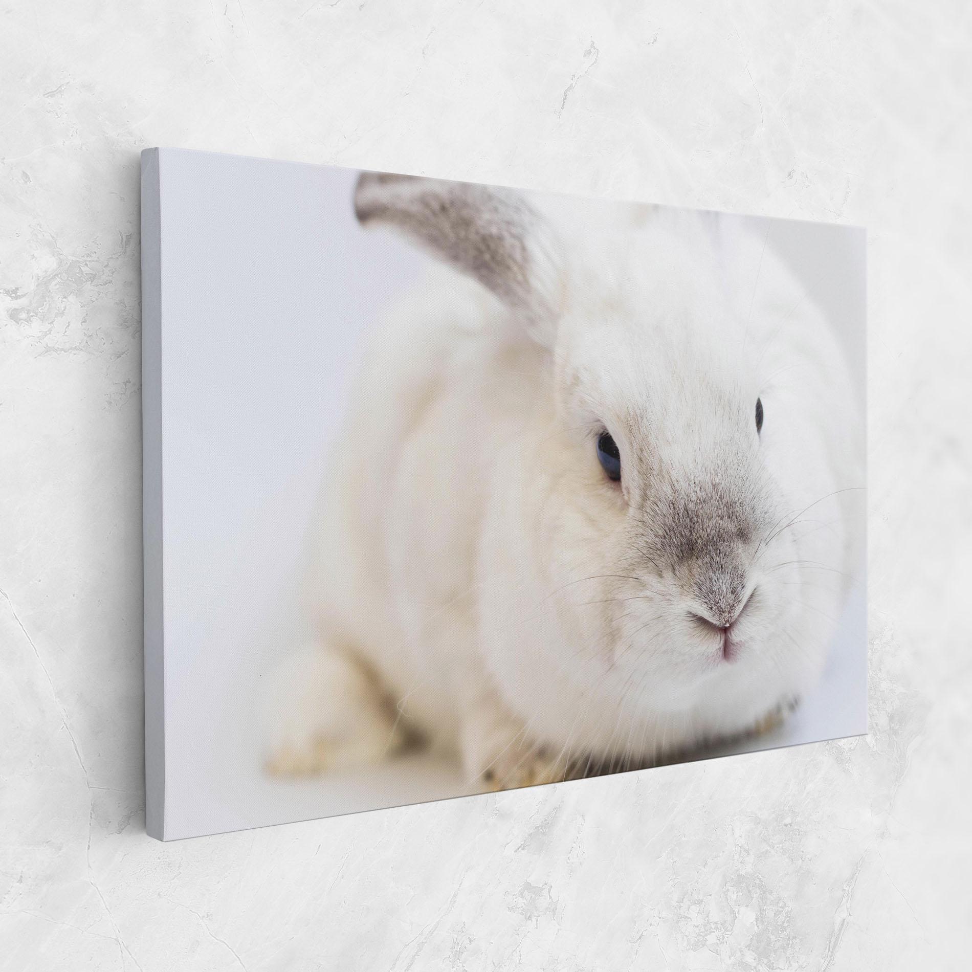 Tablou Canvas Light Grey Bunny mockup 1