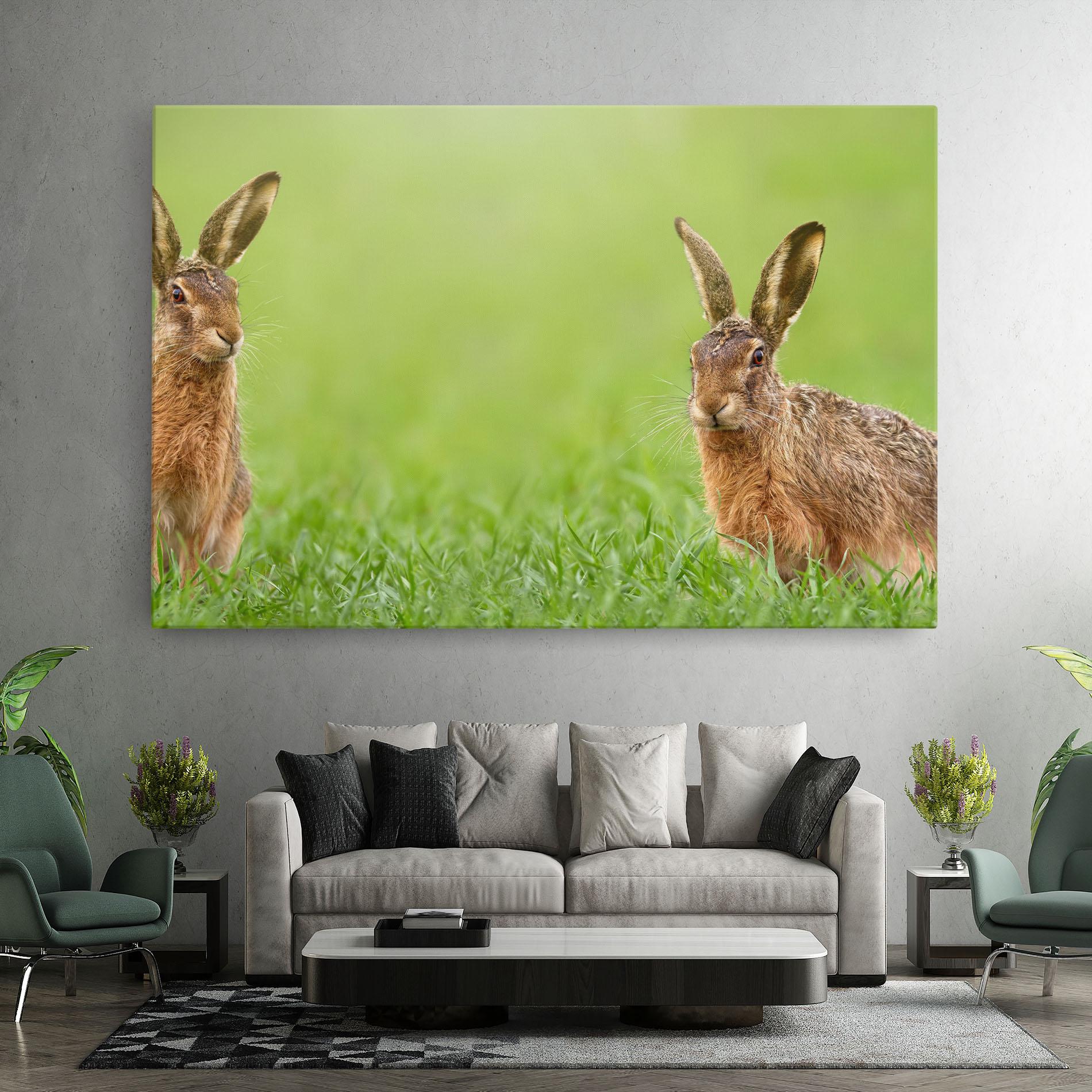 Tablou Canvas Brown Hares mockup 7