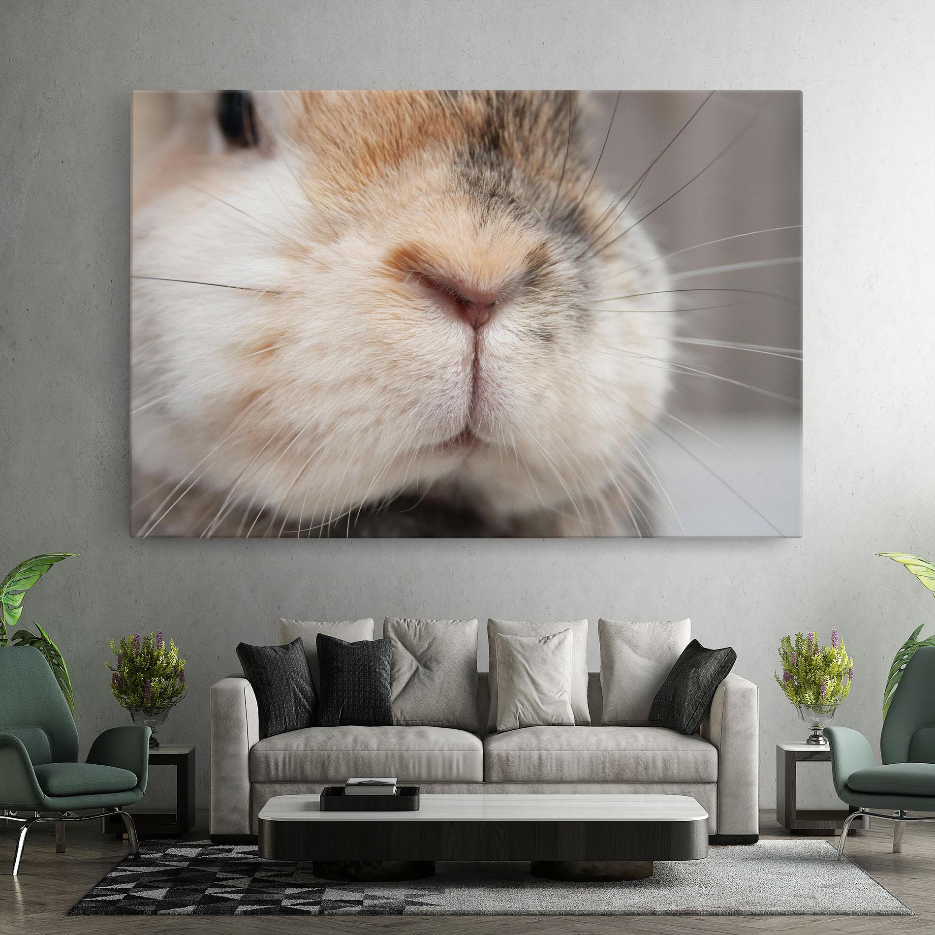 Tablou Canvas Close Up Bunny mockup 7