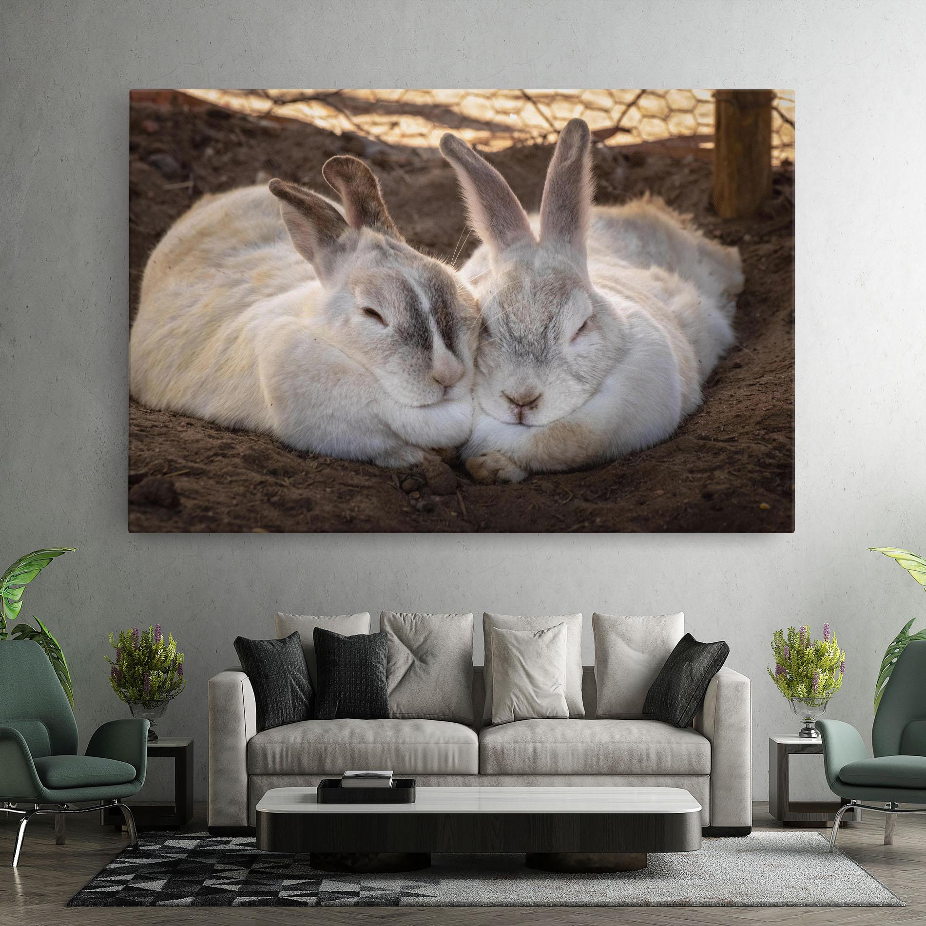 Tablou Canvas Light Grey Bunny Sleeping mockup 7