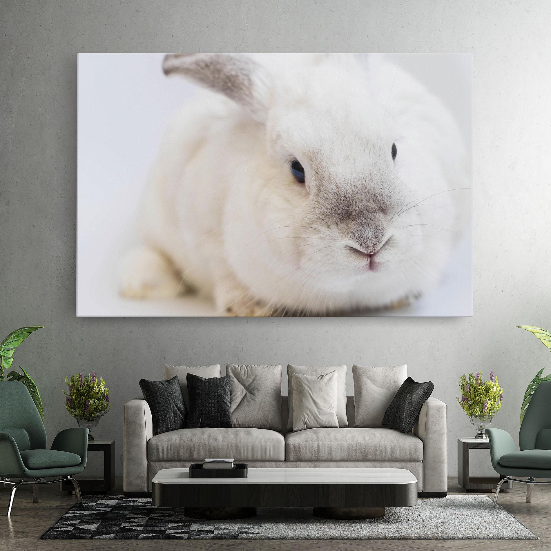 Tablou Canvas Light Grey Bunny mockup 7