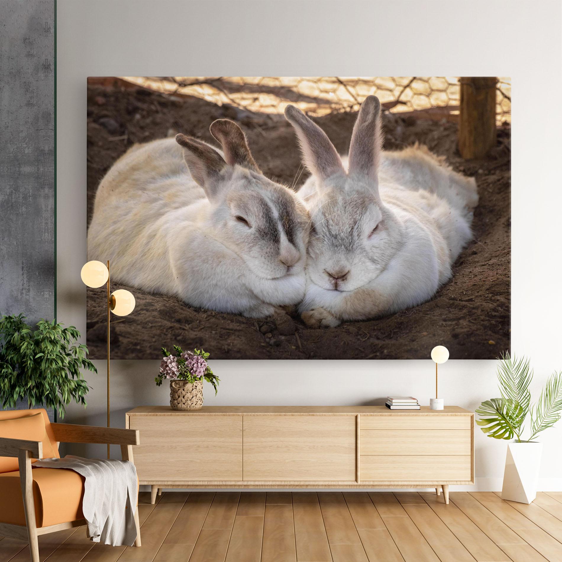 Tablou Canvas Light Grey Bunny Sleeping mockup 9