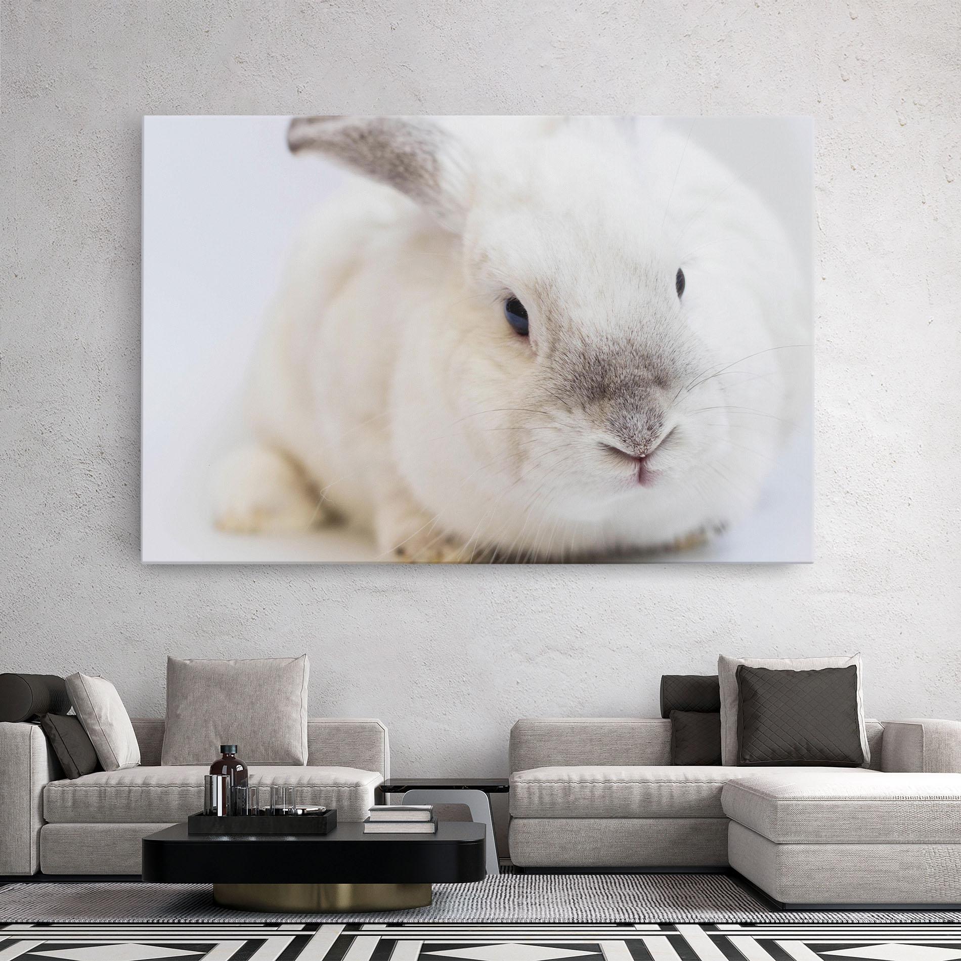 Tablou Canvas Light Grey Bunny mockup 2