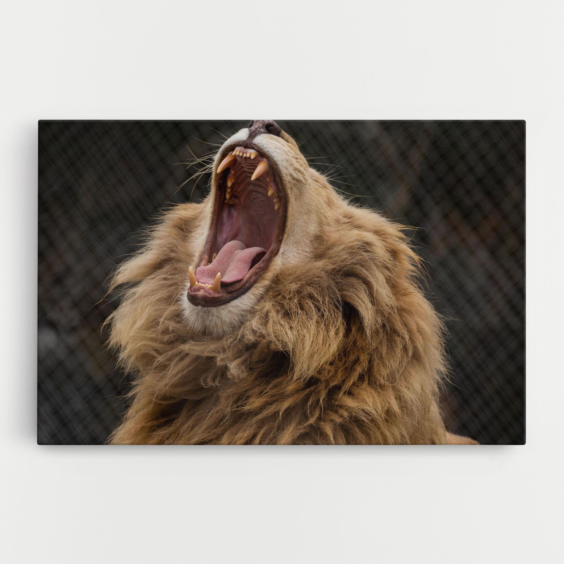 Angry Lion mockup 0