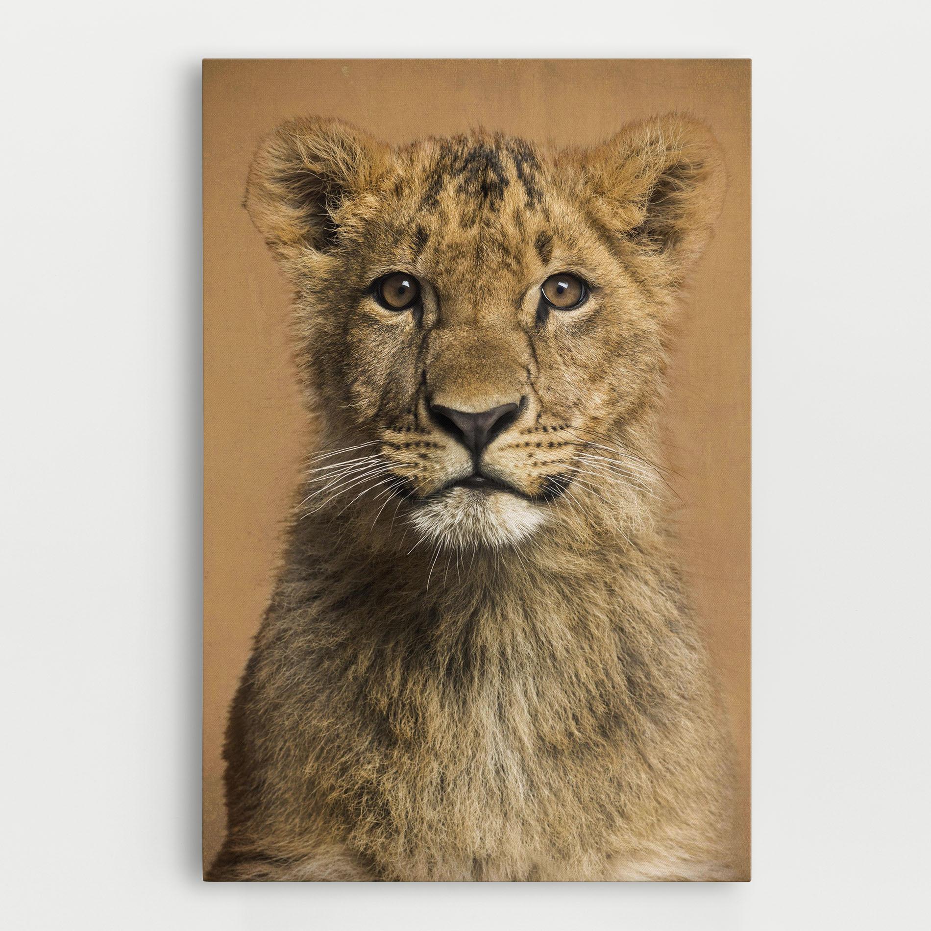 Tablou Canvas Baby Lion mockup 0