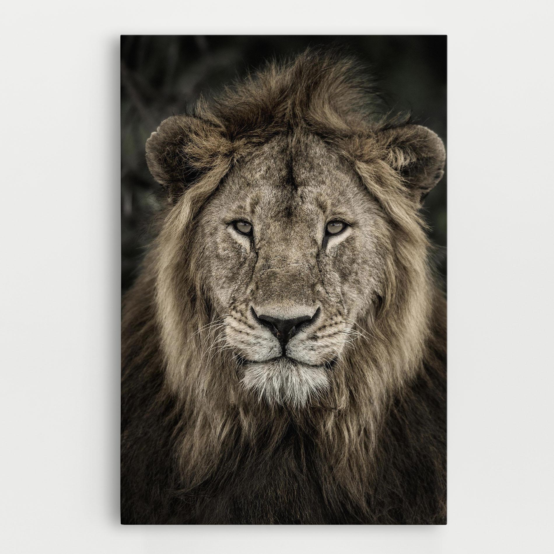 Tablou Canvas Lion Close Up mockup 0